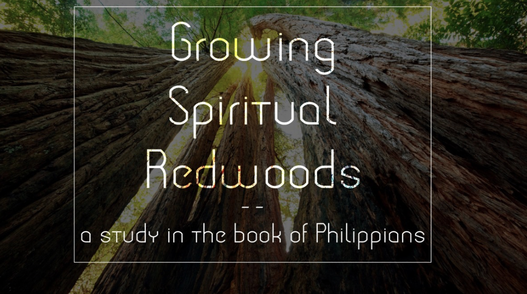 Philippians 2:12-13 - John Lloyd