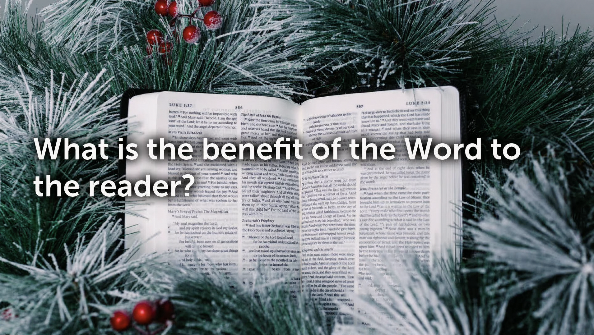Pastor David Son - The Benefit of the Word to the Reader