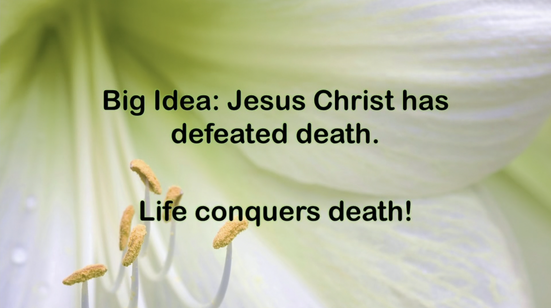 John Lloyd - Easter Service - Life Conquers Death