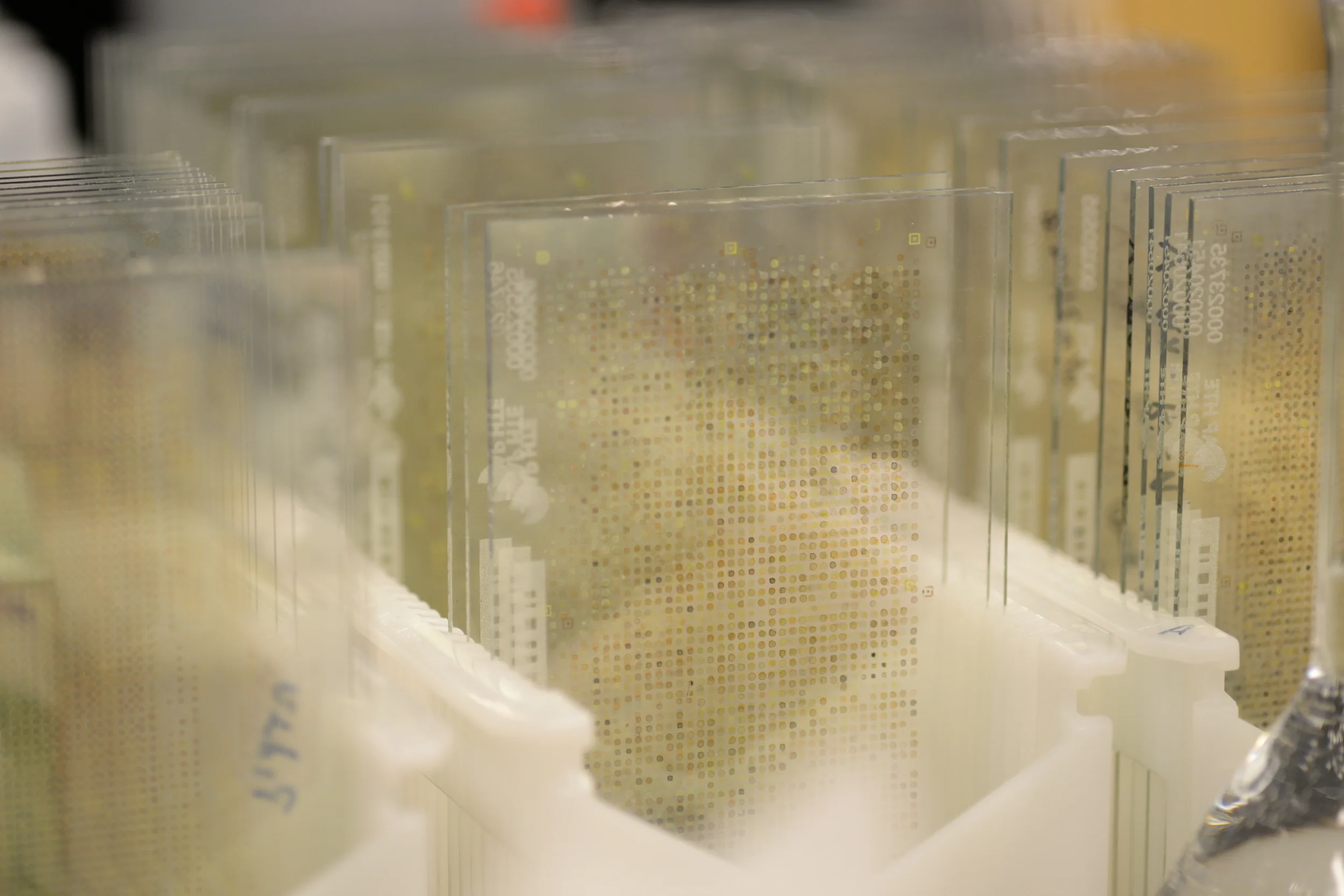 0 Library Hero Image.JPG