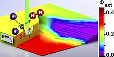 Image created by Dr. Kyle Cummins (JCAP). The schematic shows an external quantum yield (Φ ext ) map overlaid on a p–WSe 2 topography exhibiting step edges and terrace sites. In a typical experiment, an incident laser (λ=533 nm) probes bare and platinum decorated sites. The bare terraces that had low Φ ext,533 (< 0.15) values showed sub-bandgap states, whereas this feature was not observed on terraces that exhibited high Φ ext,533 (> 0.30).