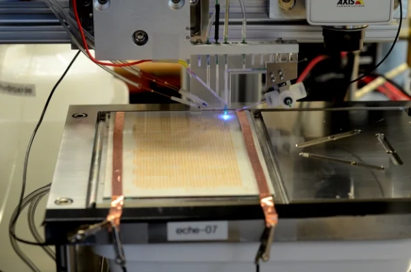 21st International Conference on Photochemical Conversion and Storage of Solar Energy "IPS-21" (St. Petersburg, Russia)