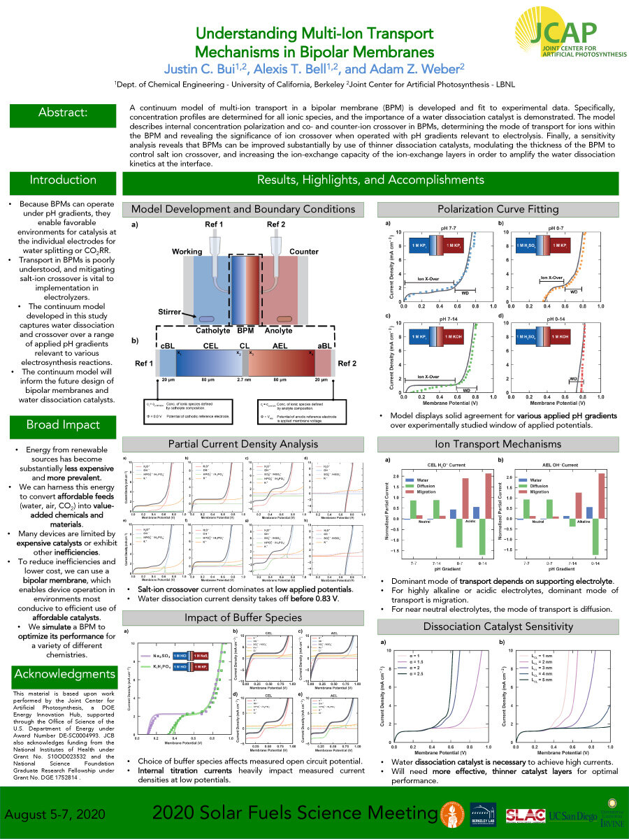 Understanding Multi-Ion Transport Mechanisms in Bipolar Membranes