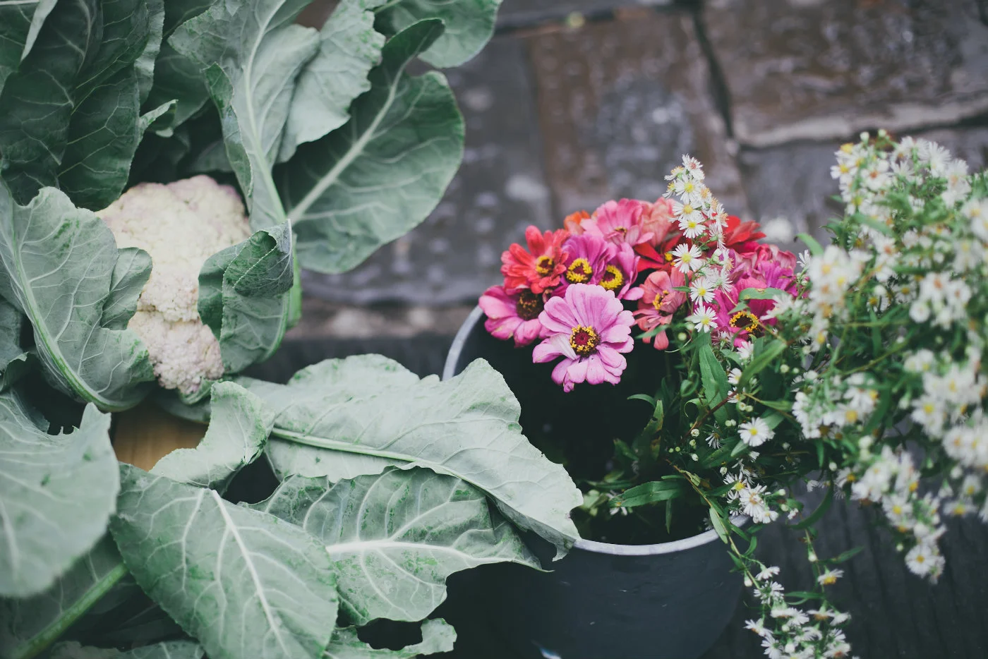 Florence Farmers Market Detail.jpg