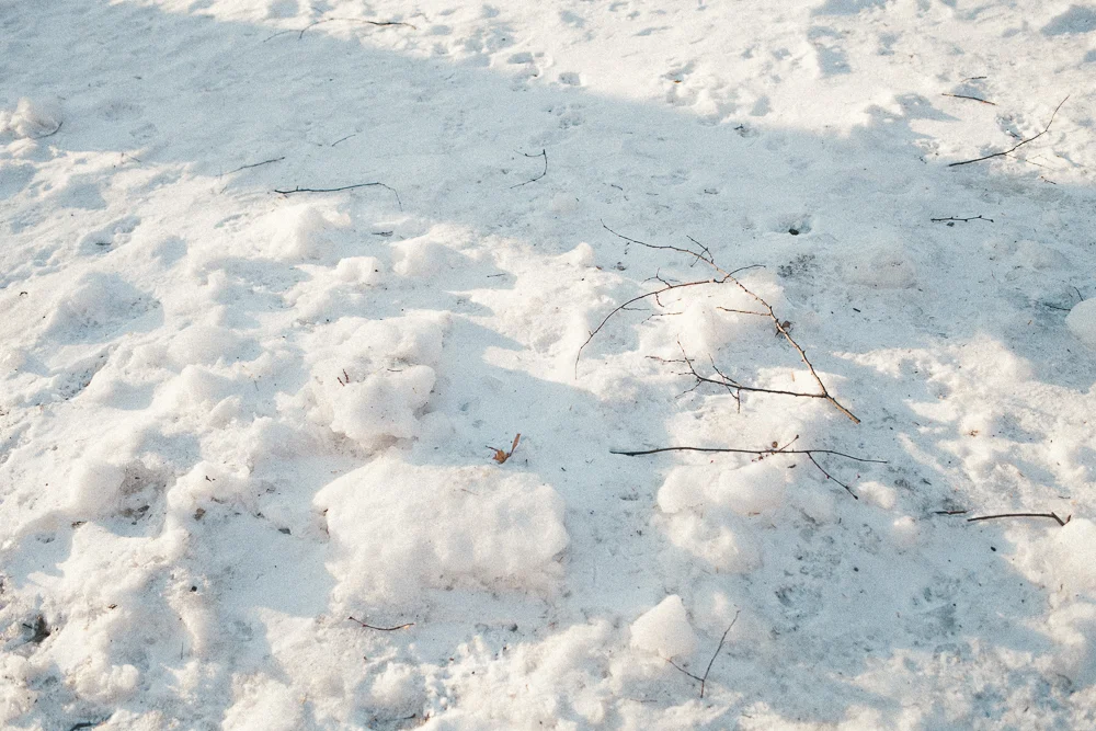 Central_Park_Snow.jpg