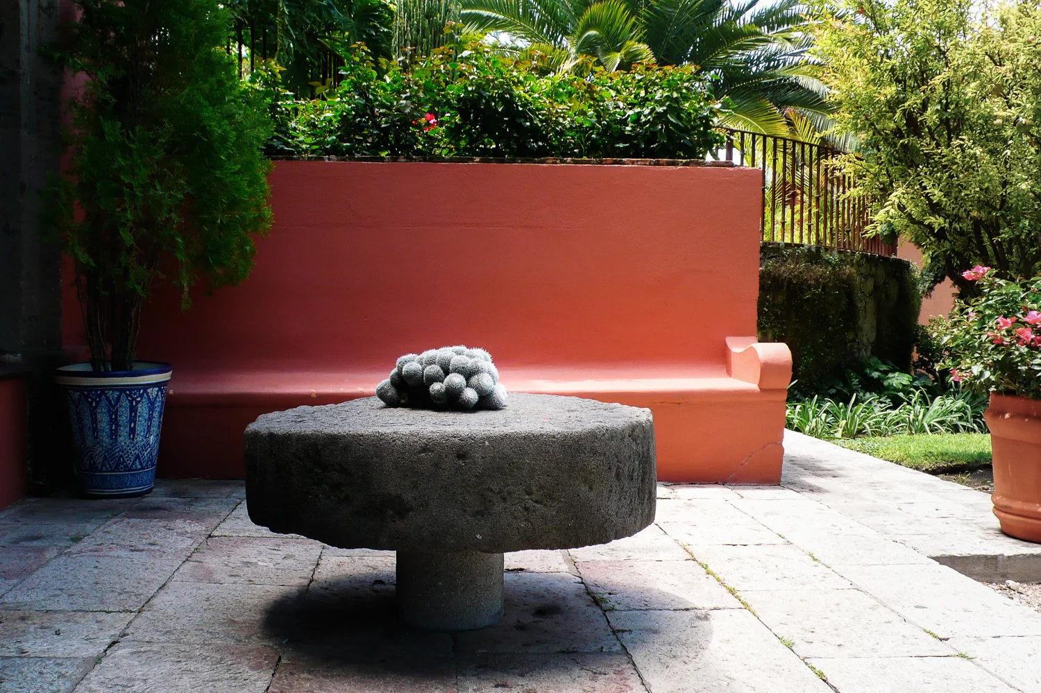Portfolio_Travel_Allende-5.jpg
