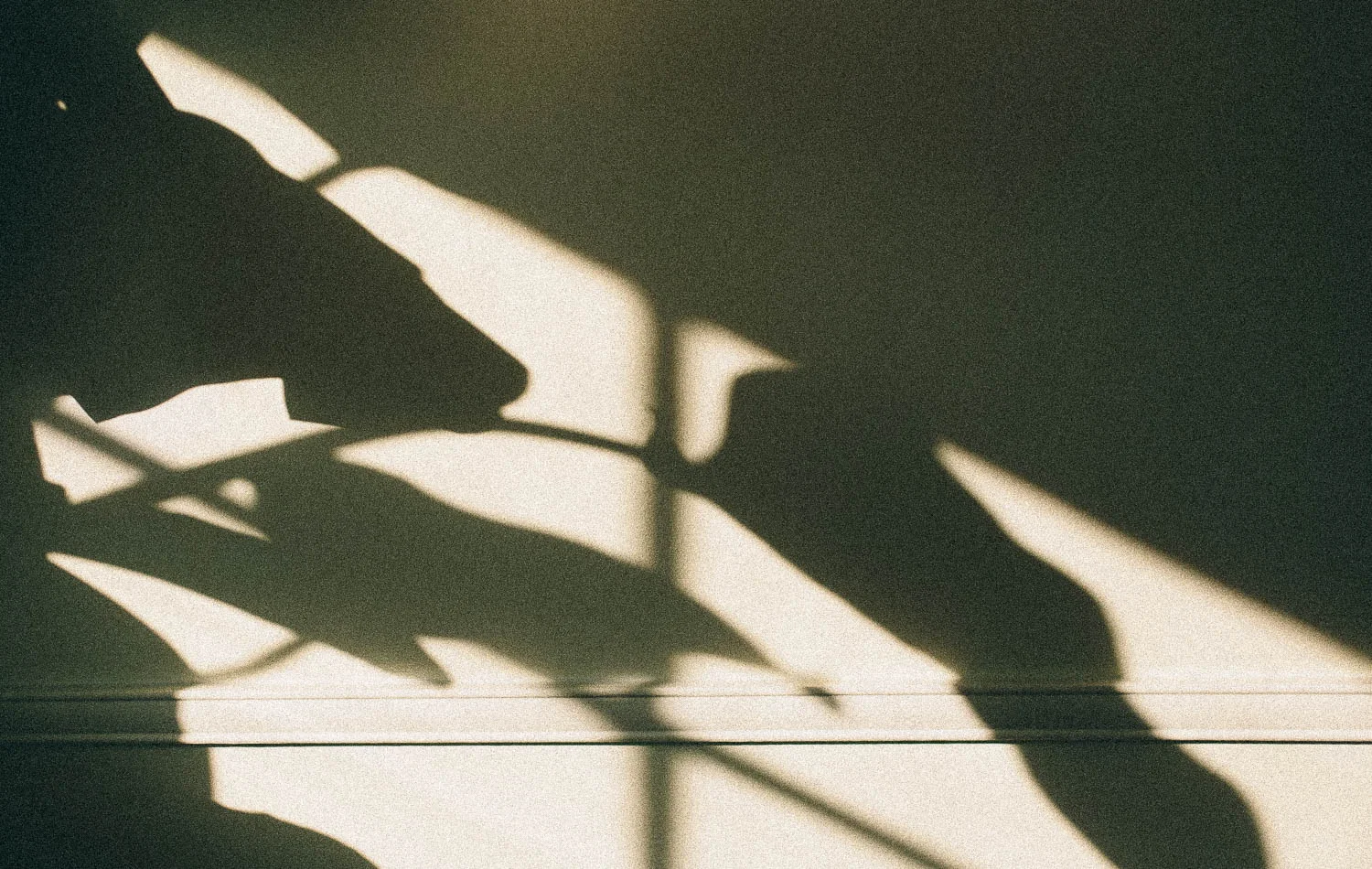 Naomi_Yamada_Interior_shadow.jpg