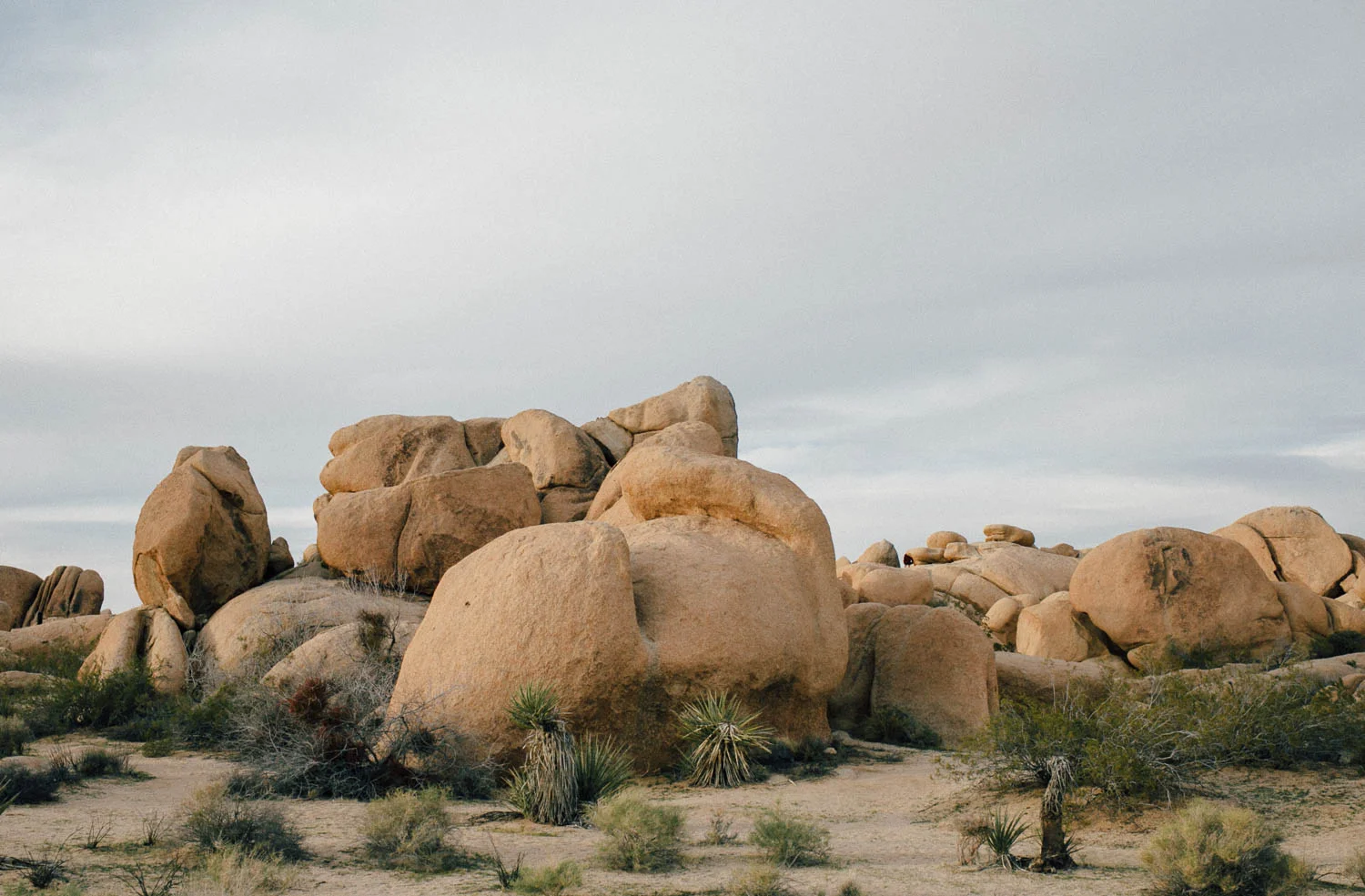 Joshua_tree_Boulders.jpg