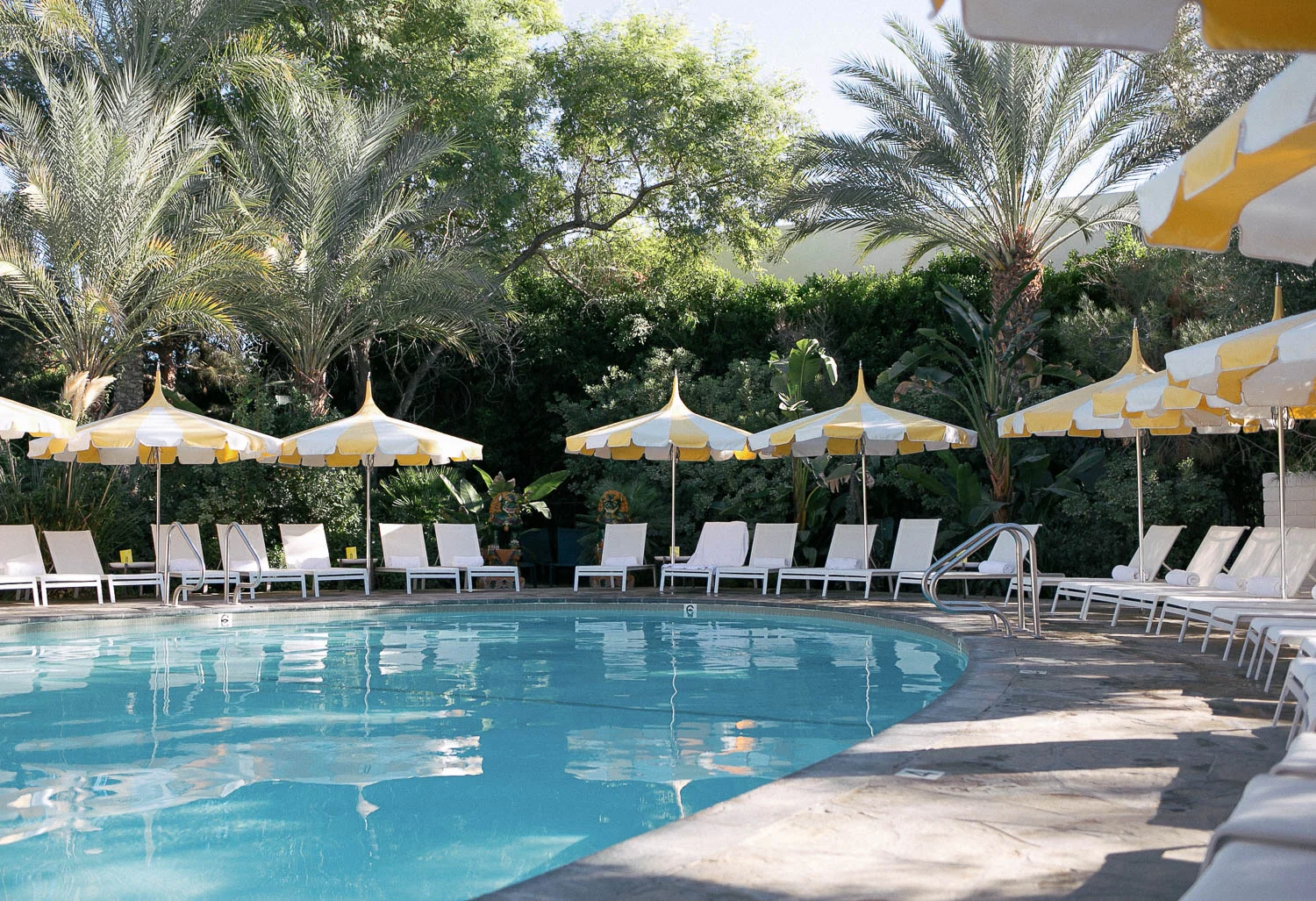 Palm_Spring_Calm_Pool.jpg