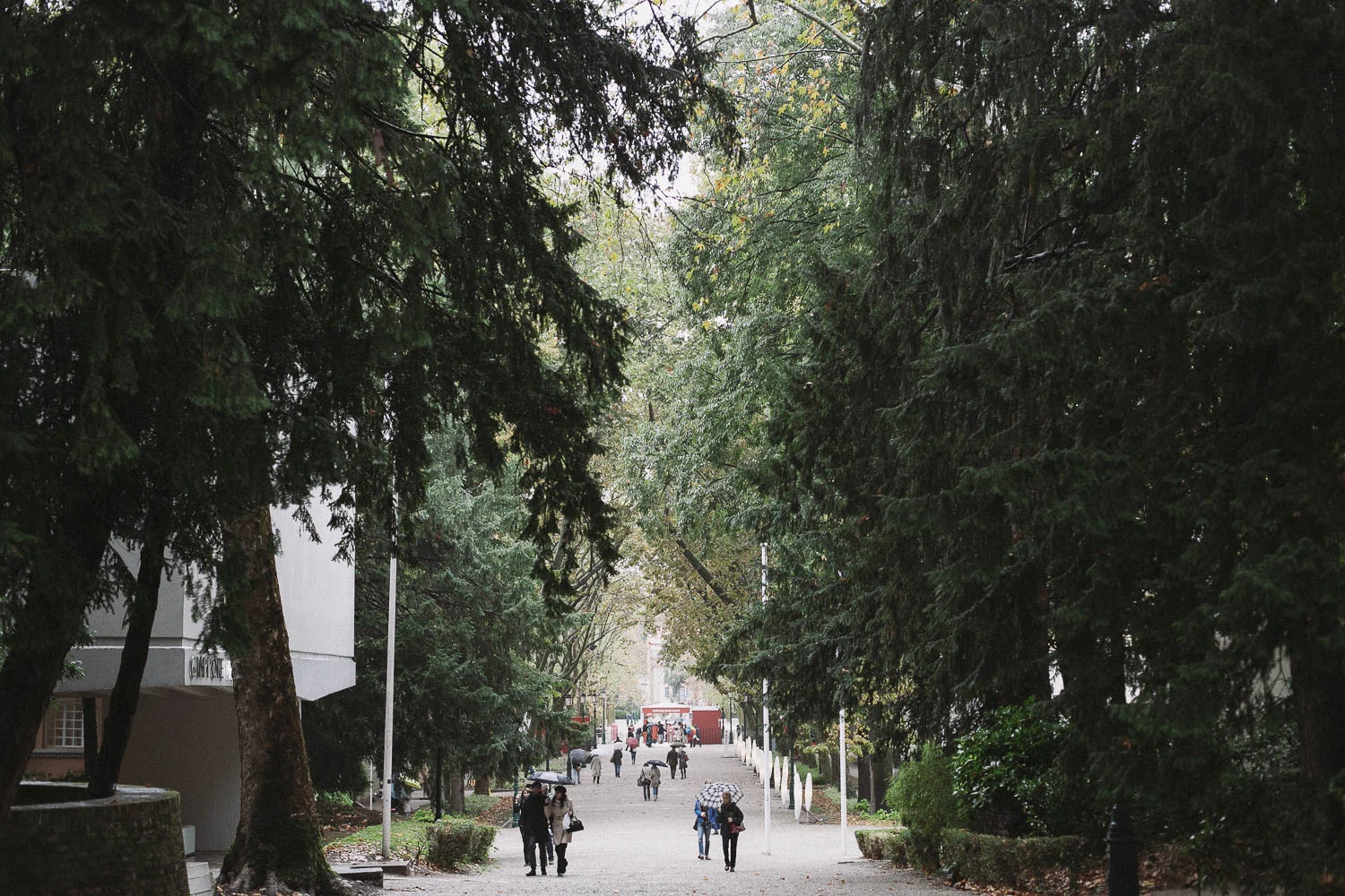 Venice_Biennale_Walkway.jpg