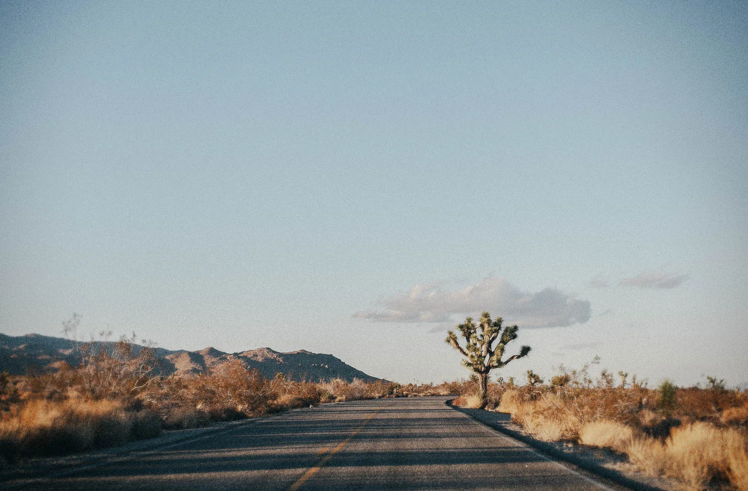 Joshua_Tree_Cloud_above_Road_Naomi_Yamada.jpg