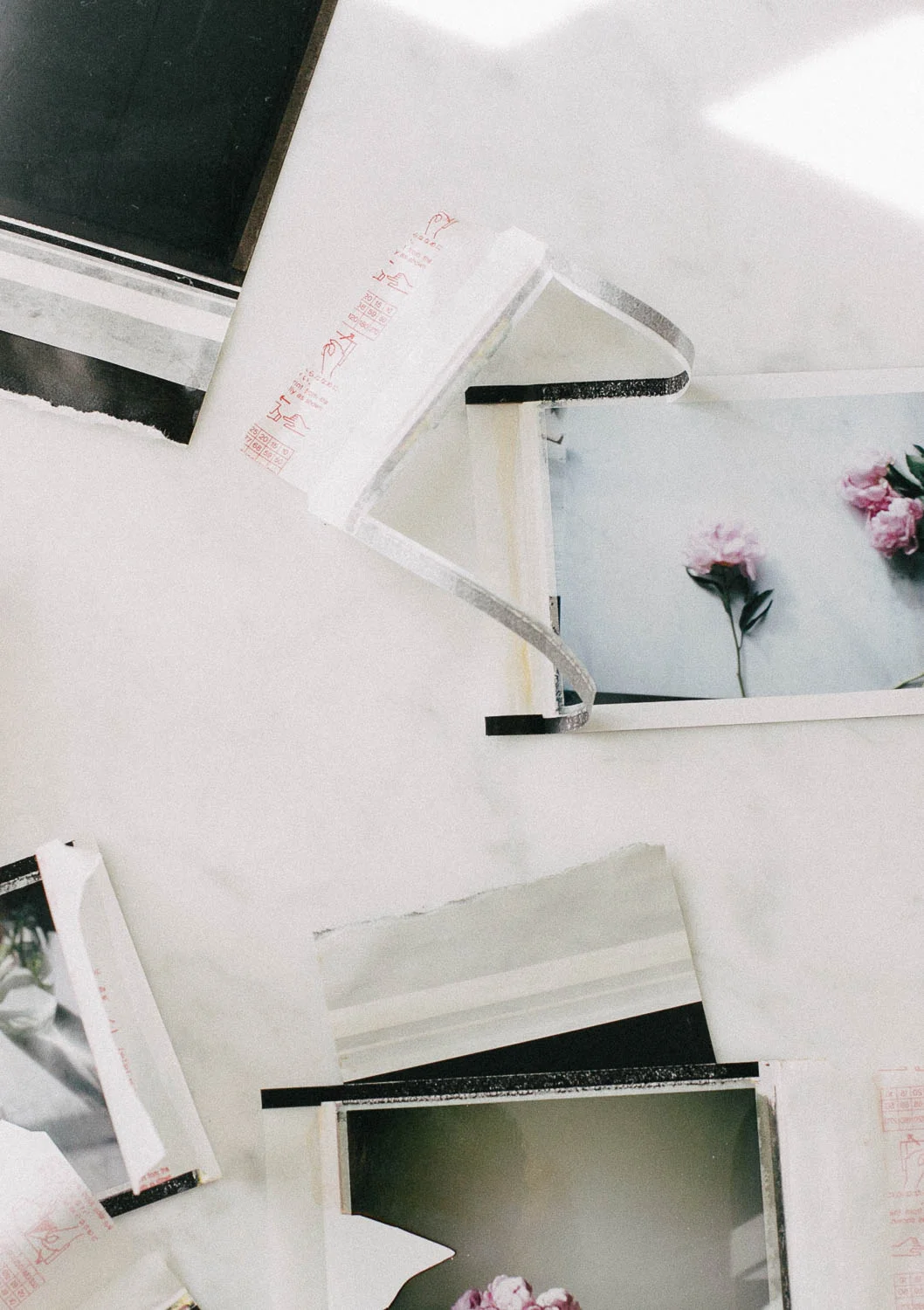 Peony_and_polaroid.jpg