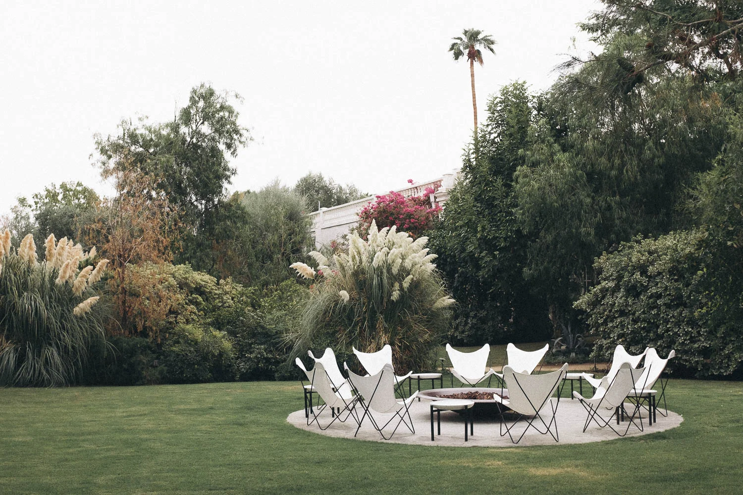 Parker_Palm_S[romgs_Overcast.jpg