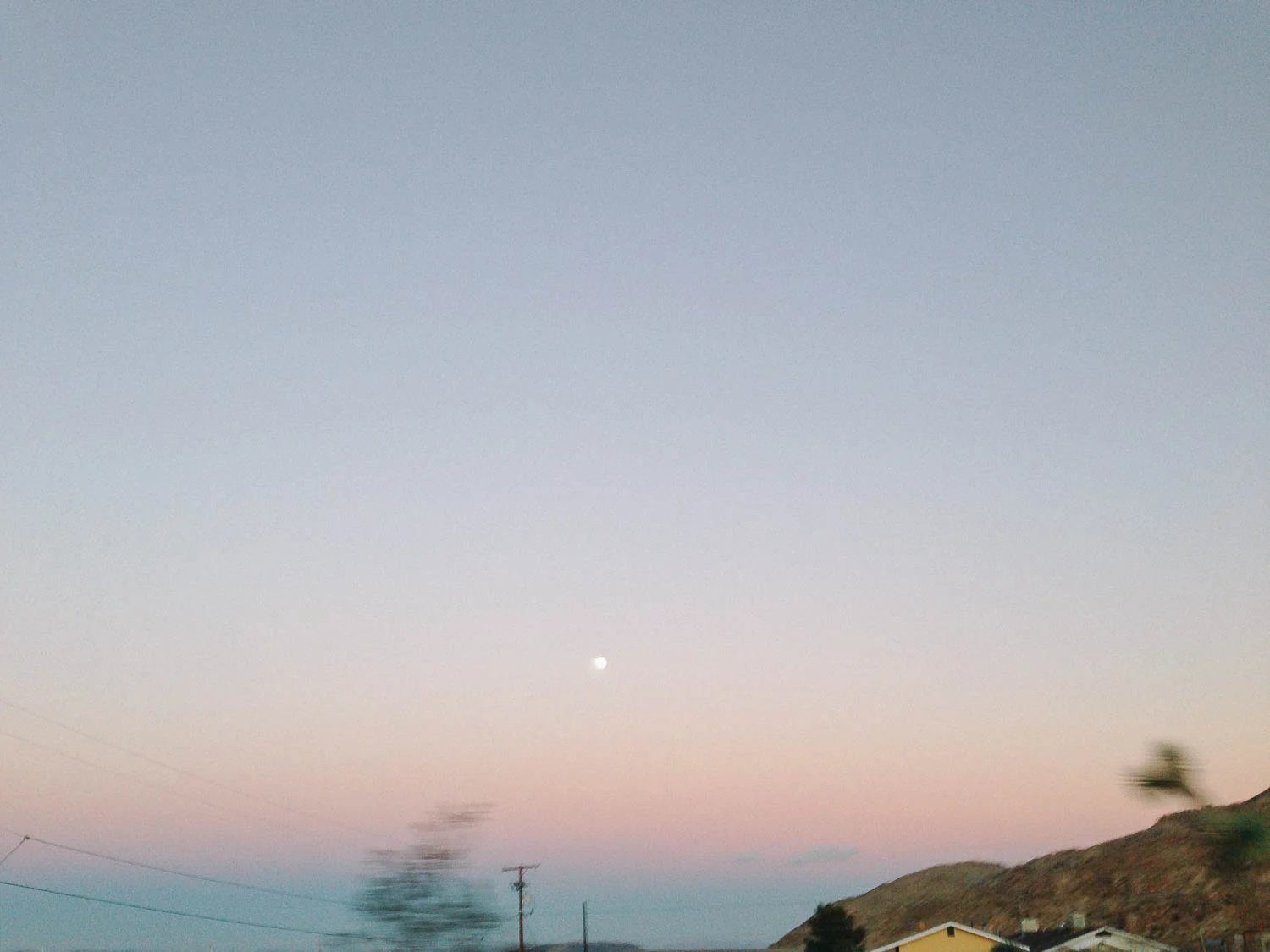 Joshua_Tree_Moon_in_Sky_Naomi_Yamada.jpg