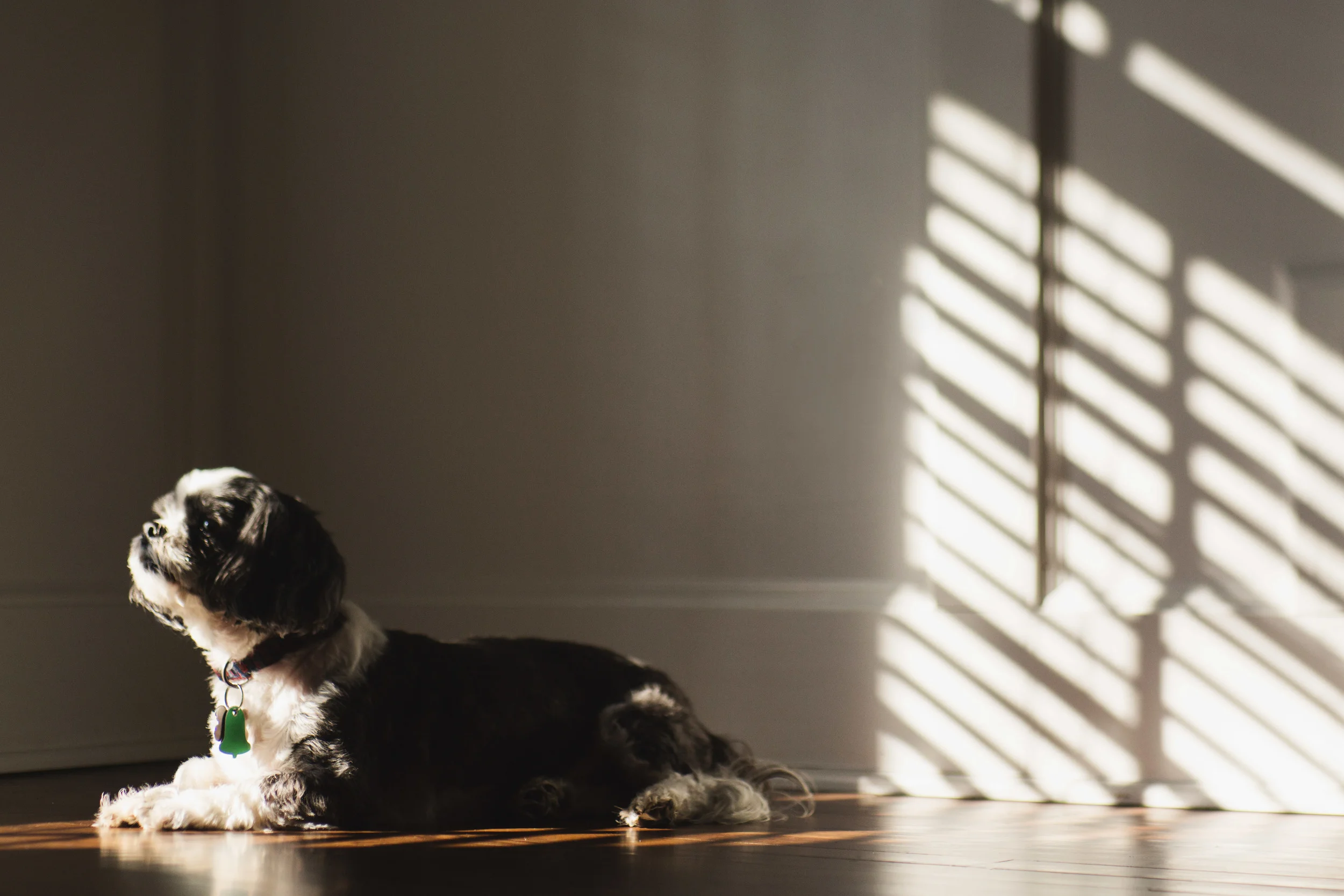 He seeks the light too.