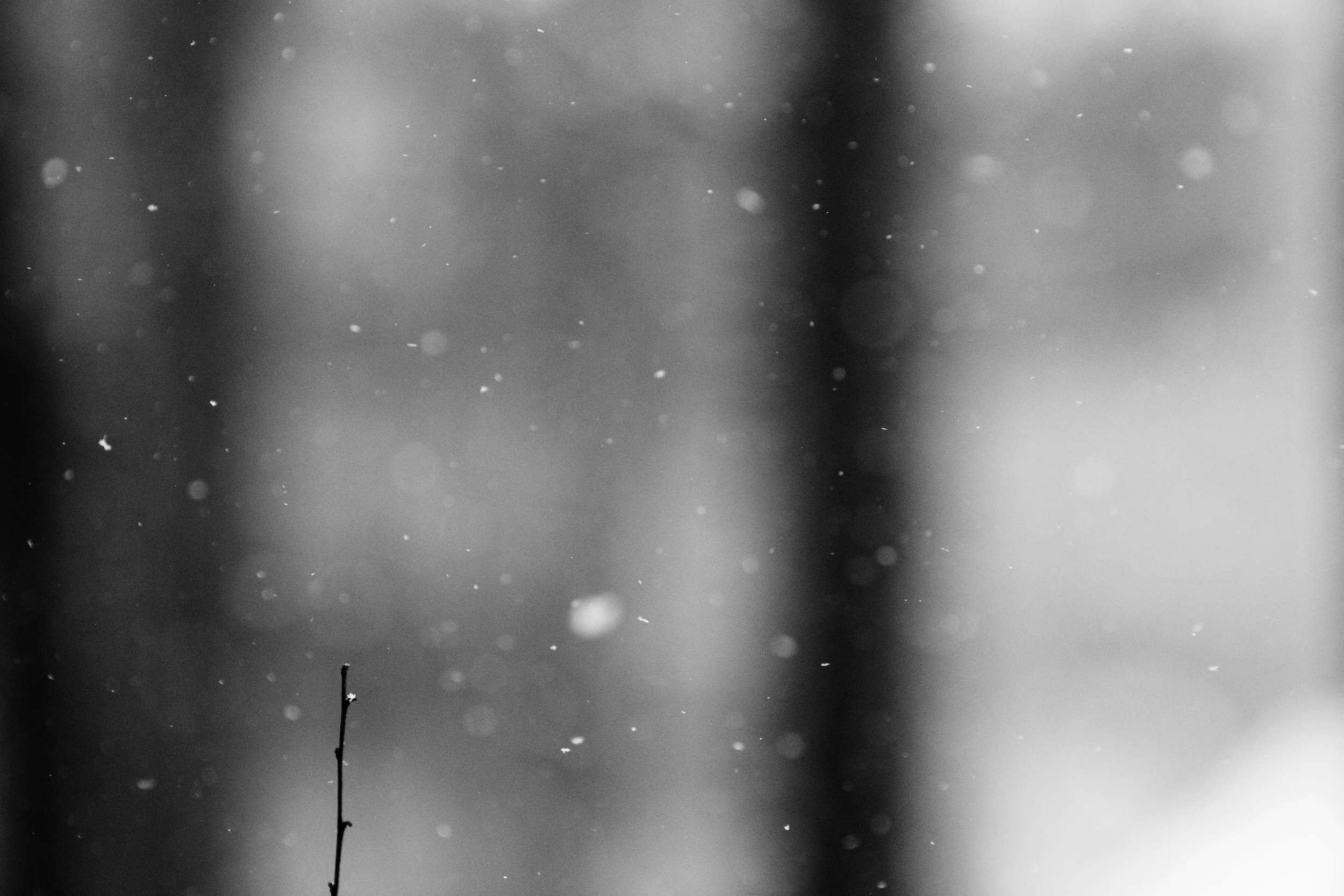 Snow. In. Georgia. 