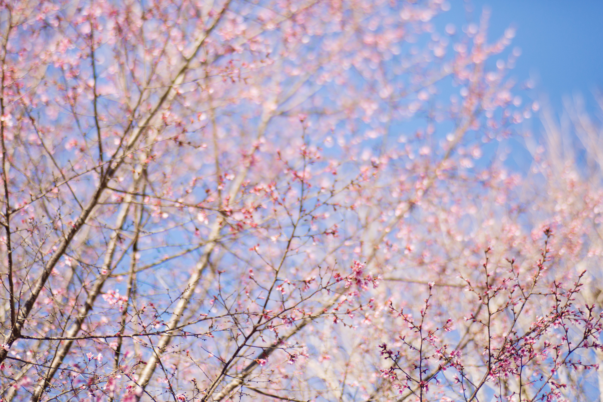 Hellloooo spring! 