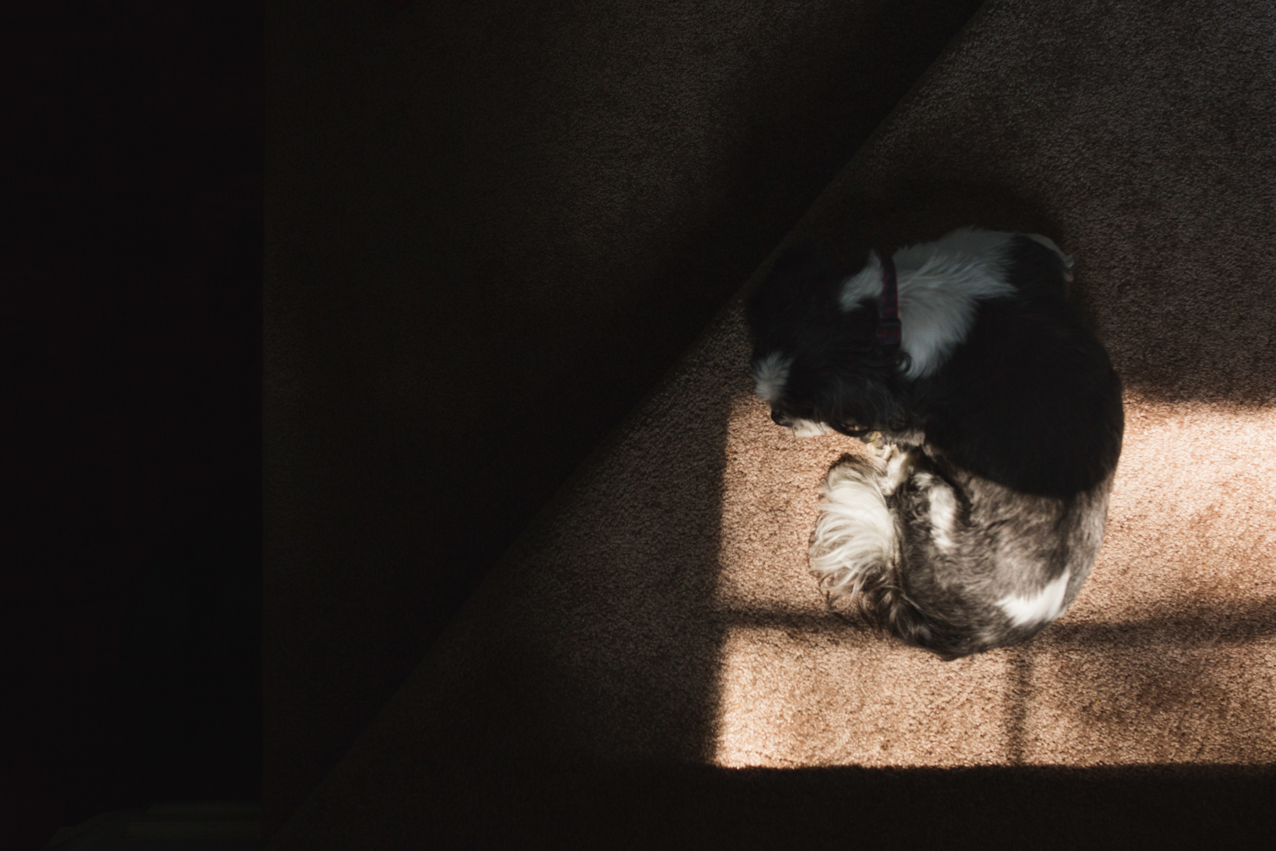 His Favorite Spot.