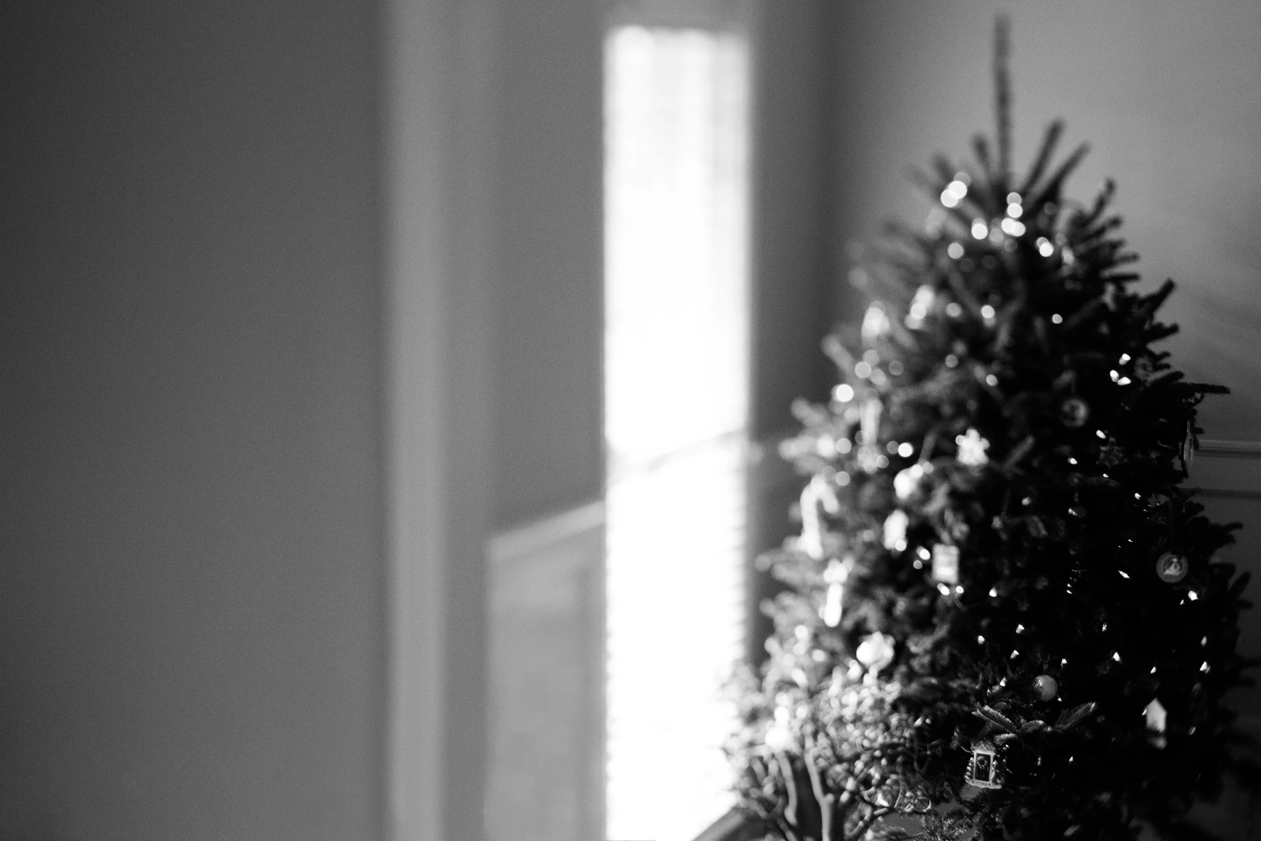 I hope your holidays were wonderful!