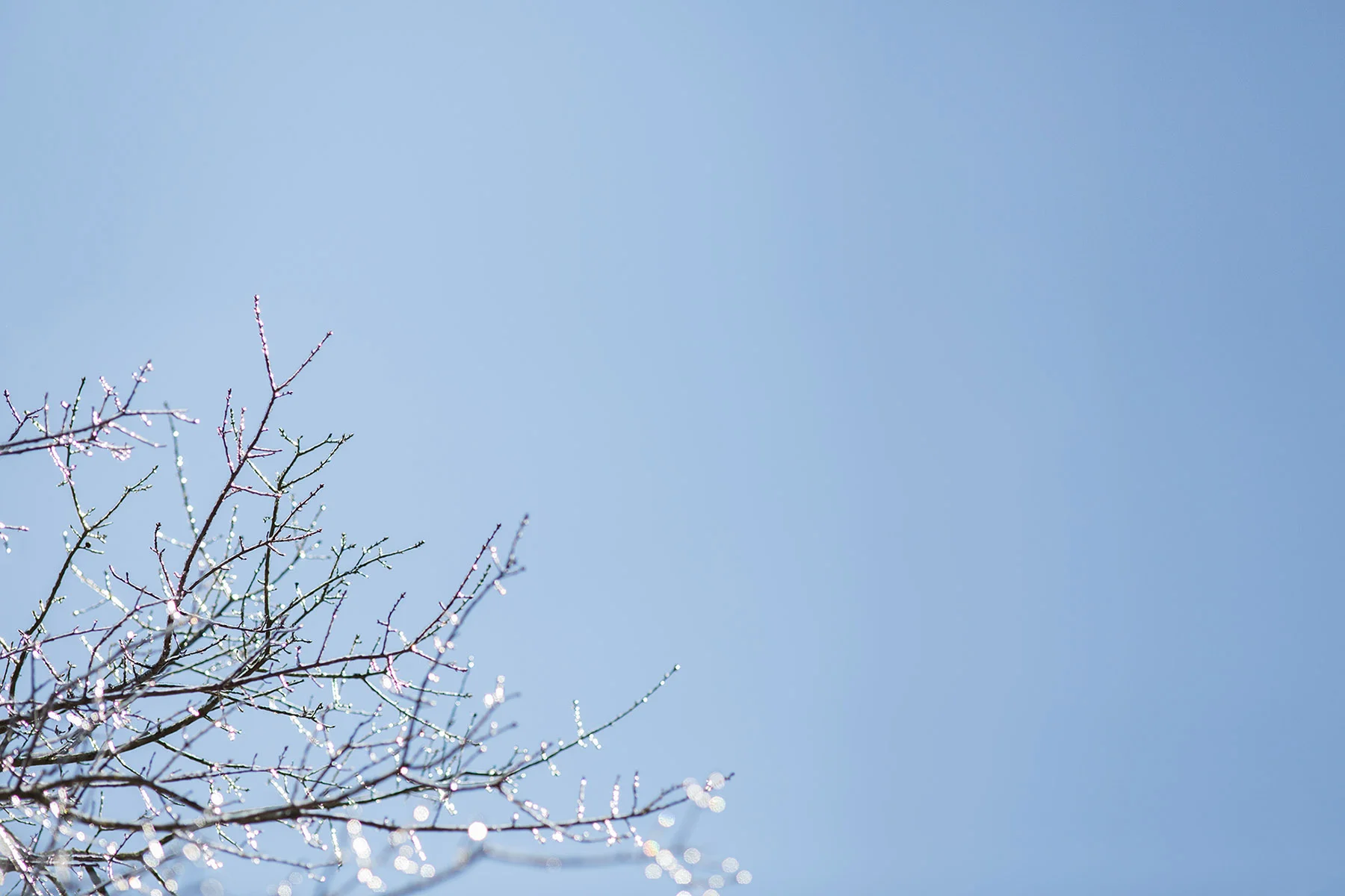 We experienced a rare Georgia ice storm which was a great excuse to get outside and shoot away!