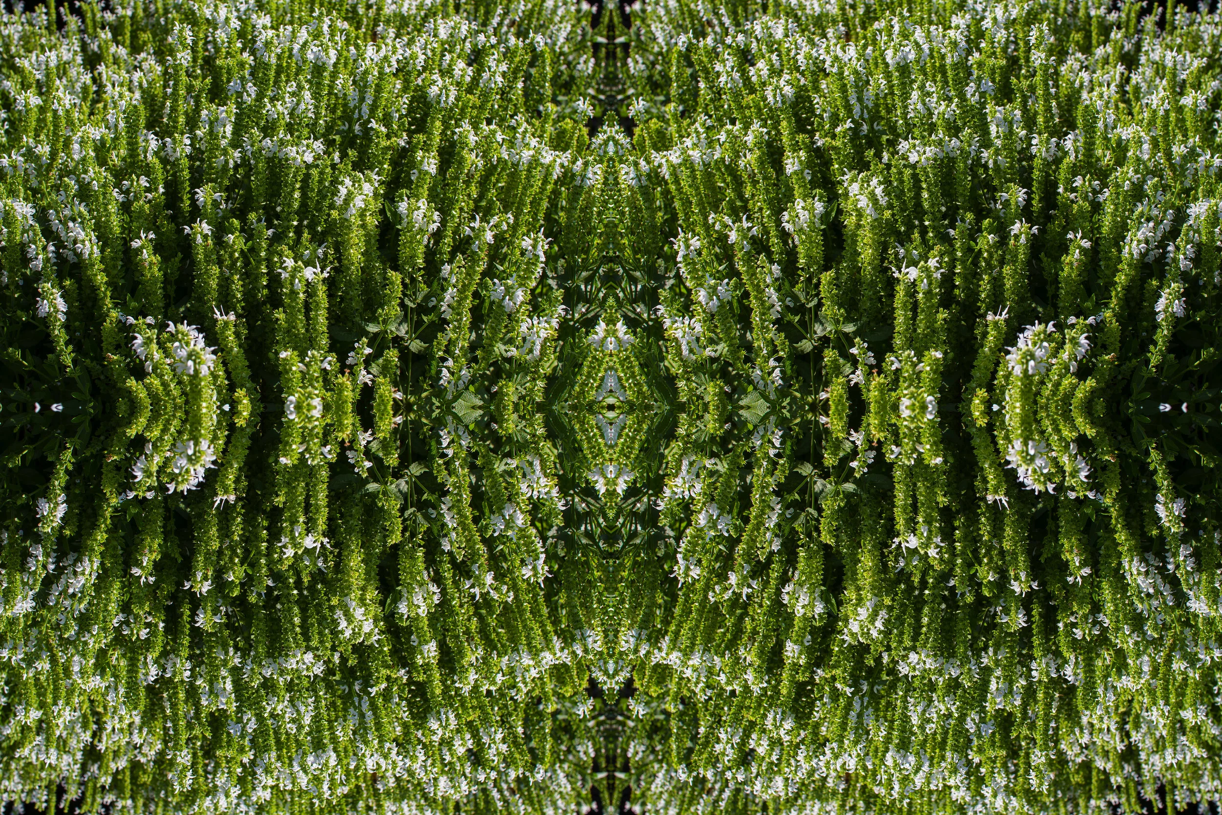 green tower flowers.jpg