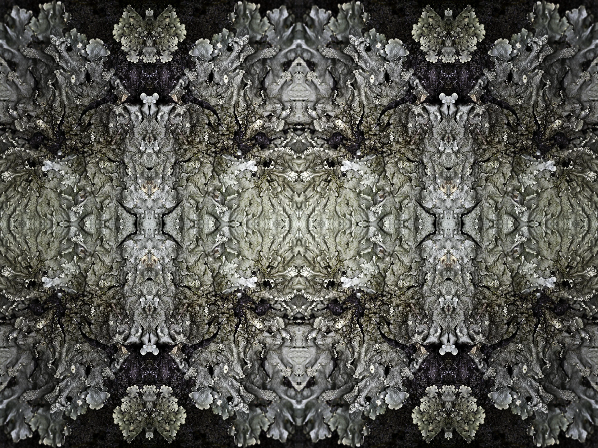 BOGARTWALL MTL 5.jpg