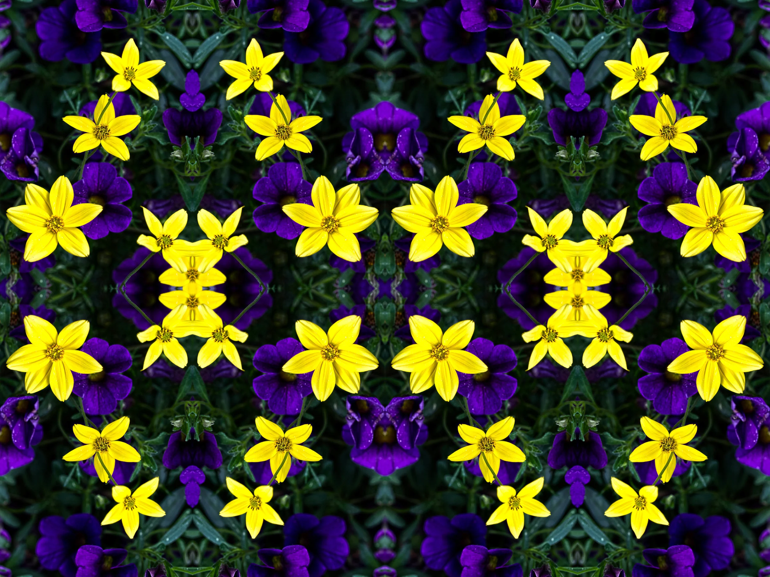 BOGARTWALL MTL 8.jpg