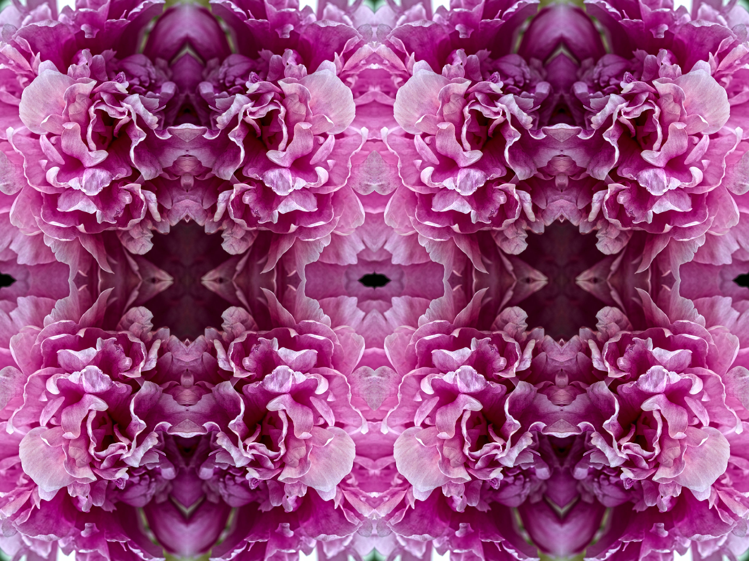 BOGARTWALL MTL 6.jpg