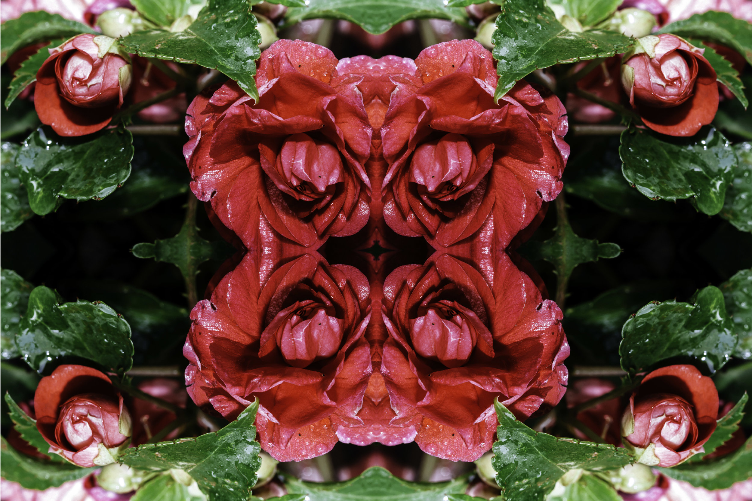 ARTWALL 9.jpg
