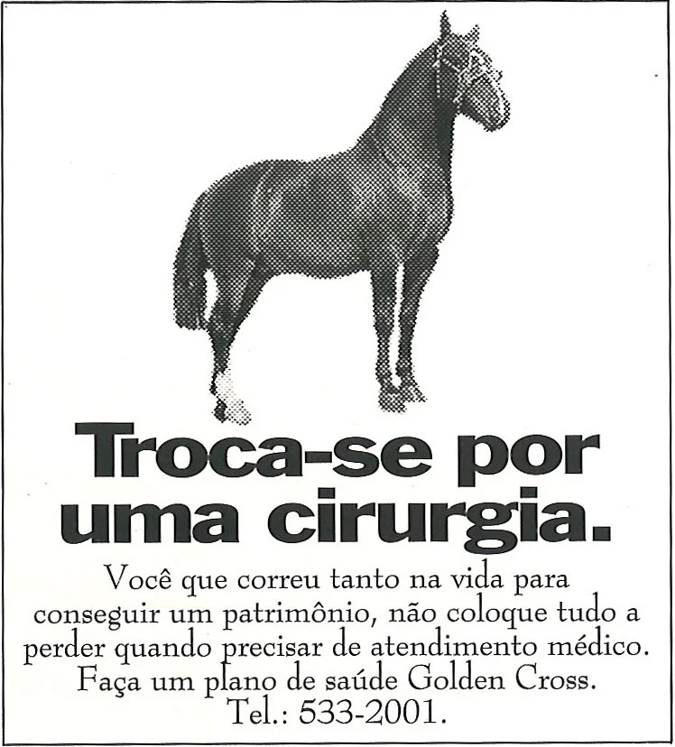 Golden Cross - Cavalo
