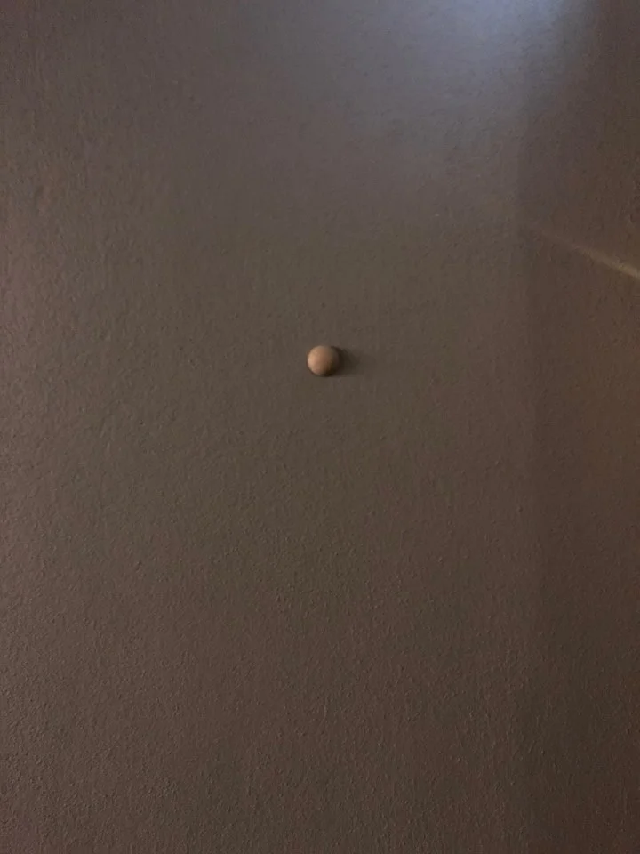 caleb'sclay.jpg