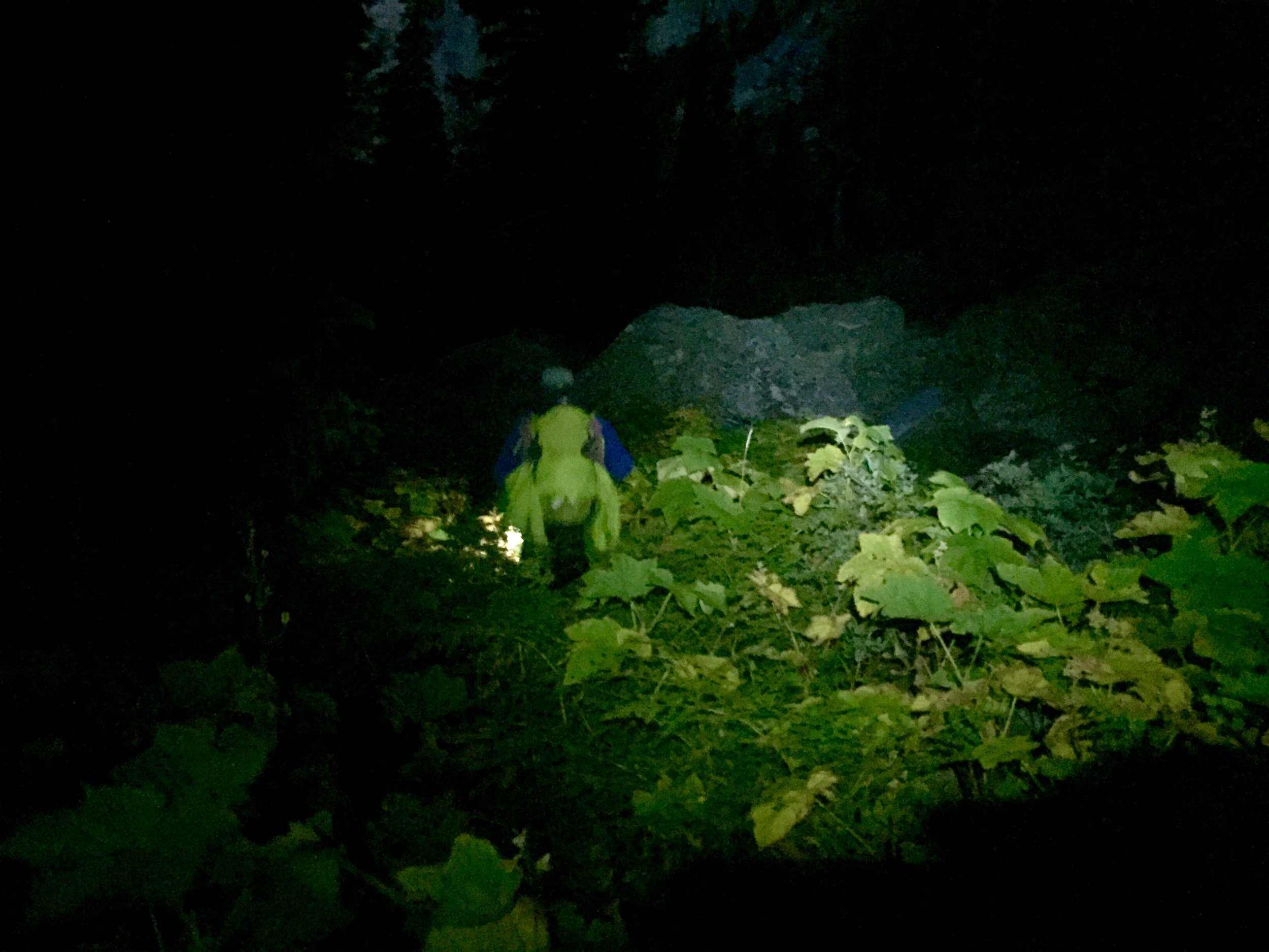 The hike to the base of the buttress involved a bushwacking and following weak trails. But after a few hours we made it!