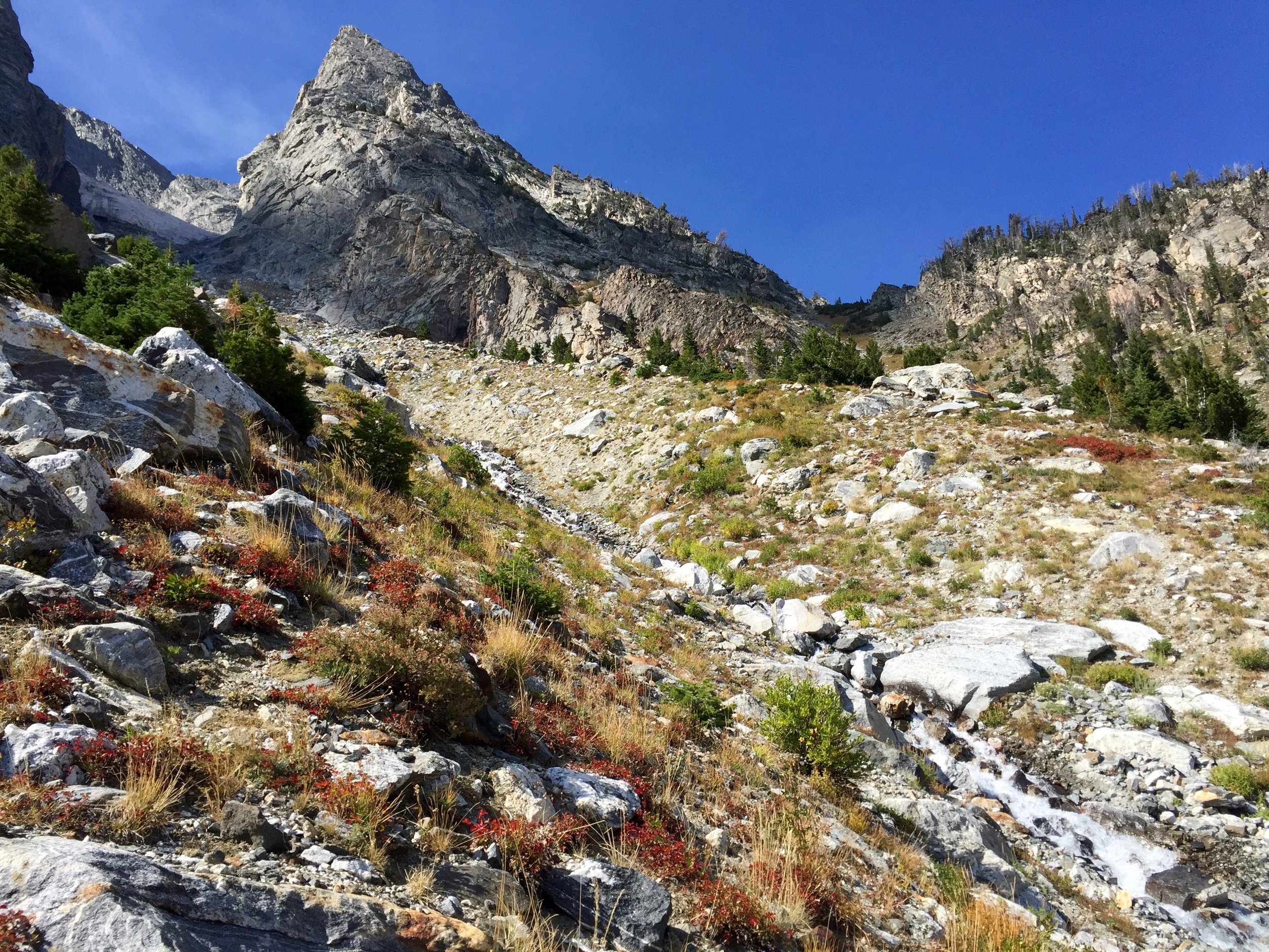 After about four hours the descent leveled out, and we hiked down to the lake below. Aside from a bit that Kate gave us at the summit, this stream was our first water source in two days. By now the packs were a lot lighter!