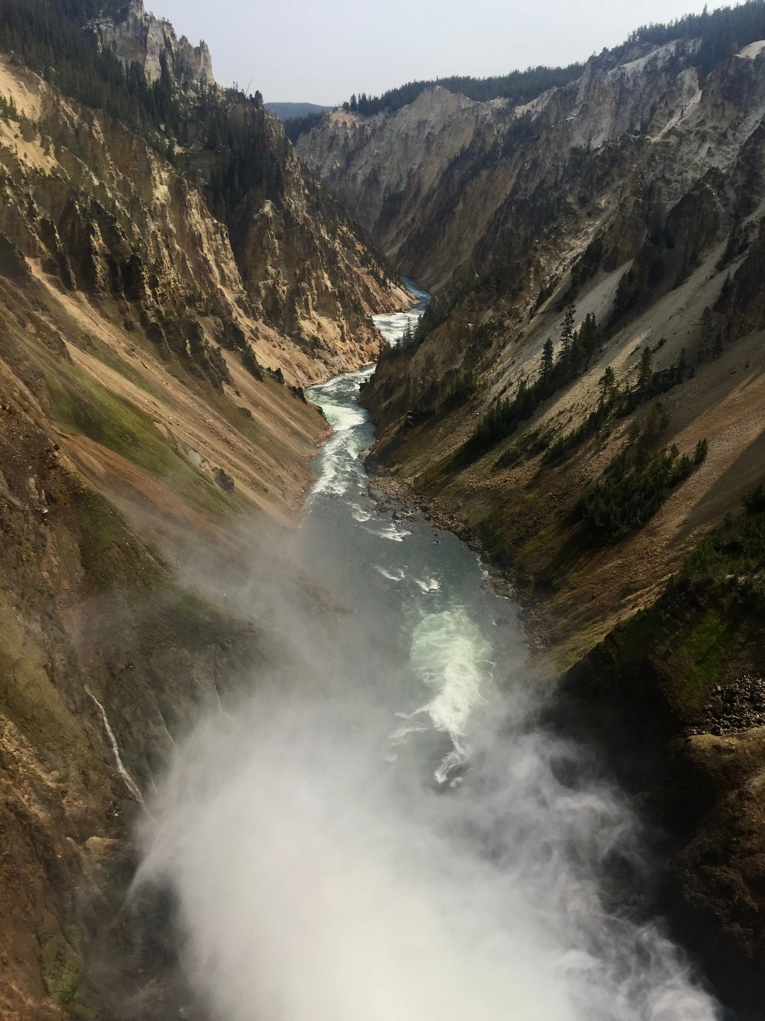 Yellowstone is gorges!