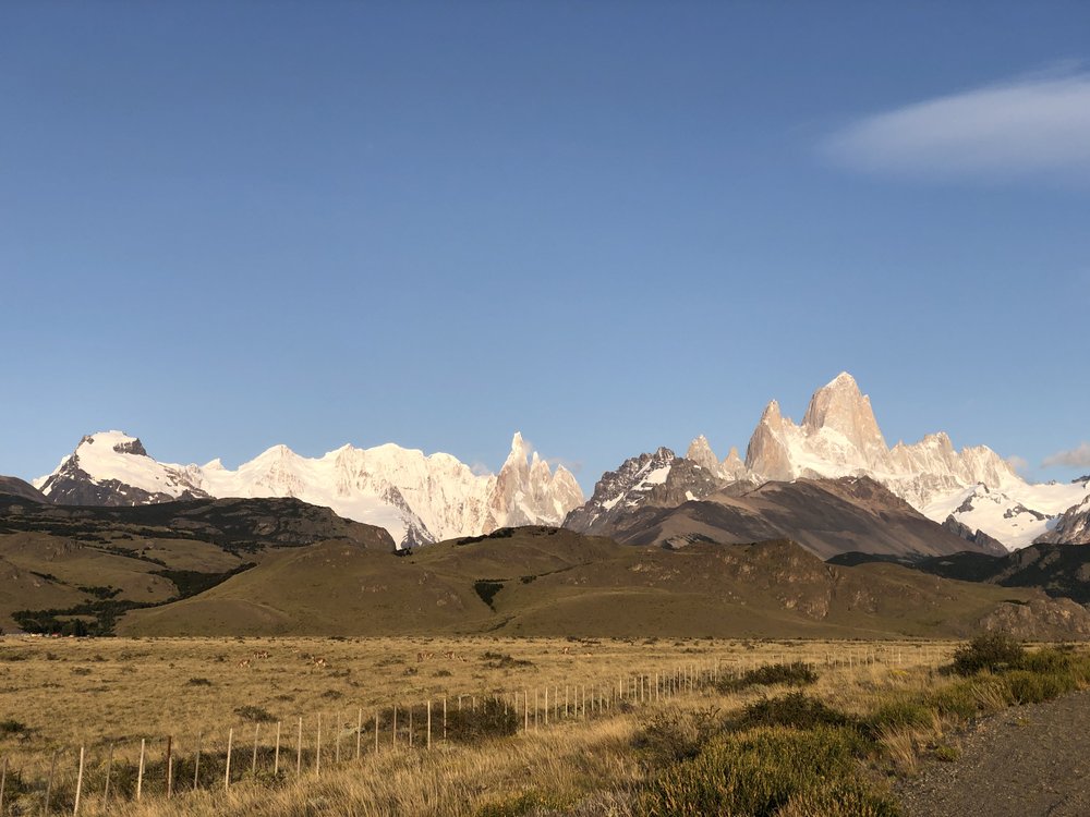 The Chalten Mastiff, and guanacos