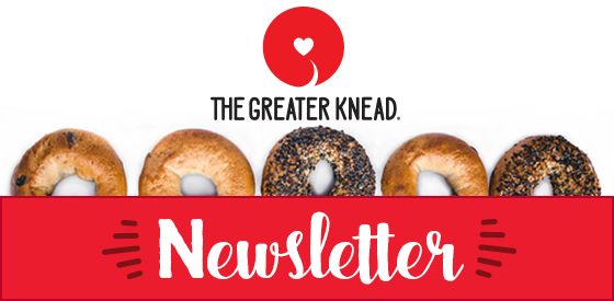 Email Newsletter Header