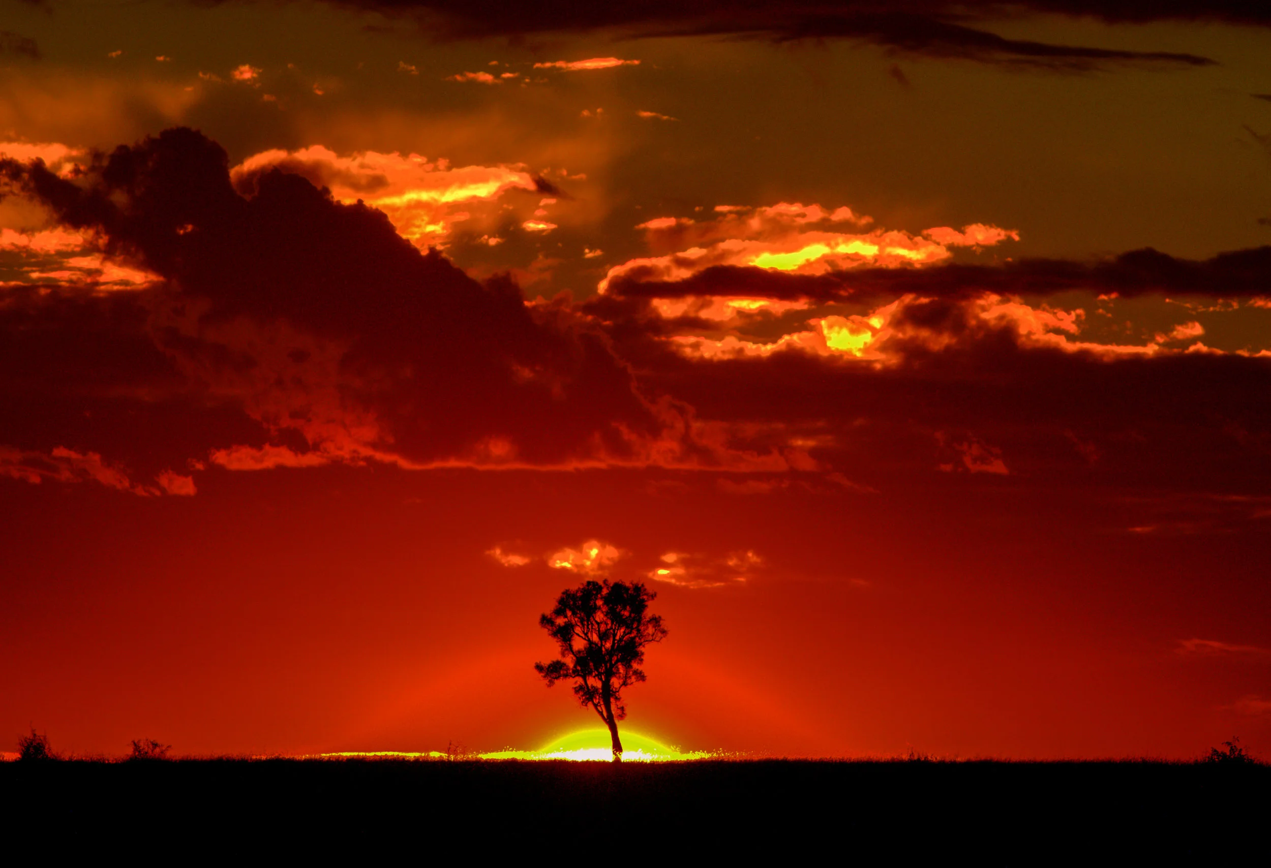 Miles, Australia