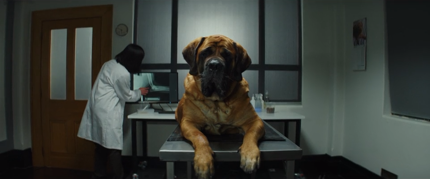 2d business cover.PNG