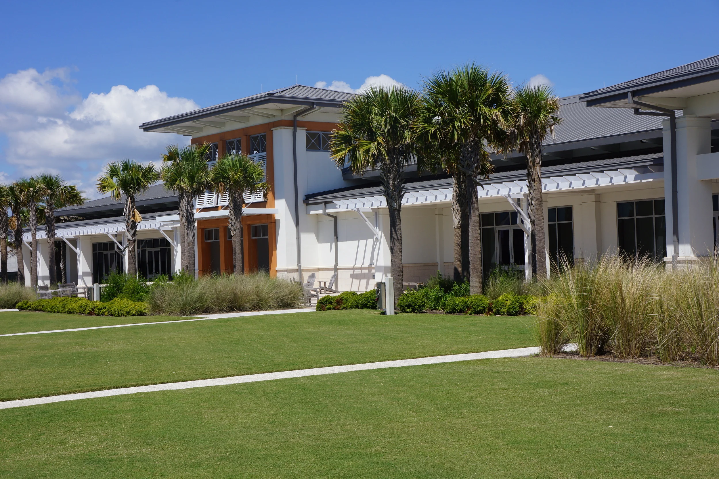 Upload 01.26.16 212.JPG