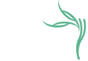 Organic Chiropractic | Chiropractor St. Paul,MN | Walk-In