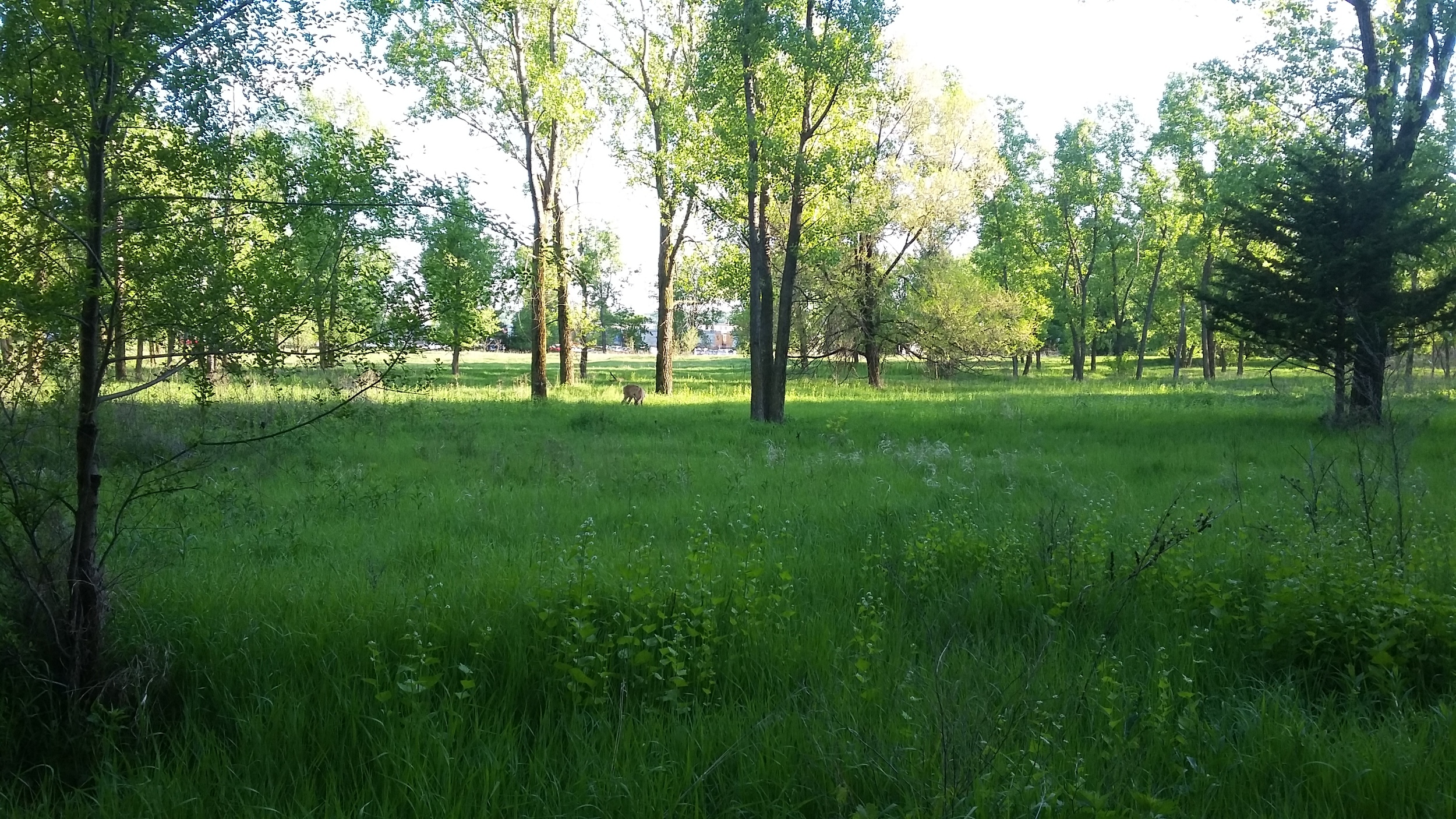 near Battle Creek, St. Paul, MN