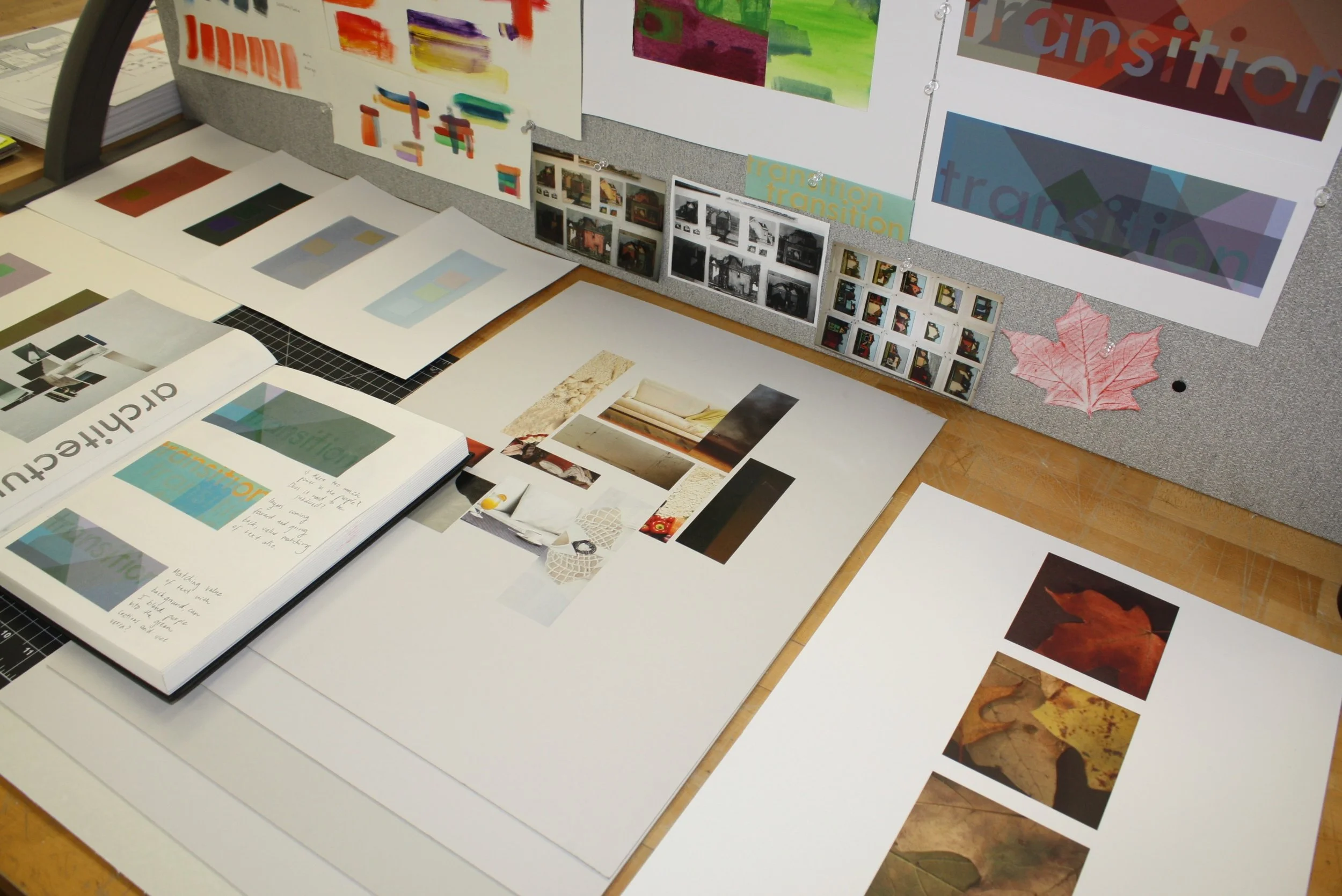 An accumulation of my work throughout the Color + Communication course.