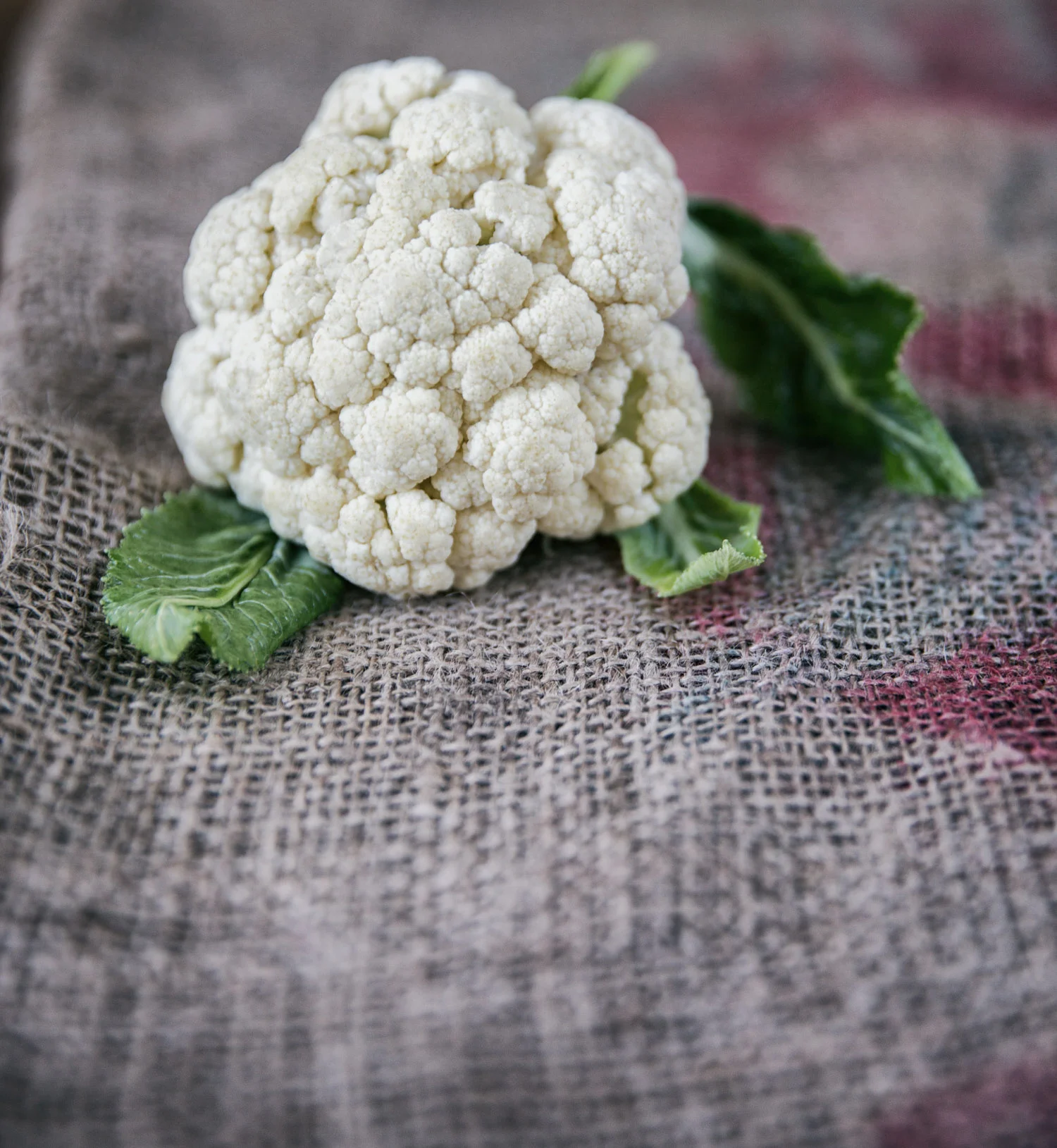 Golden Cauliflower Mash-9445-Edit-Edit-Edit-615.jpg