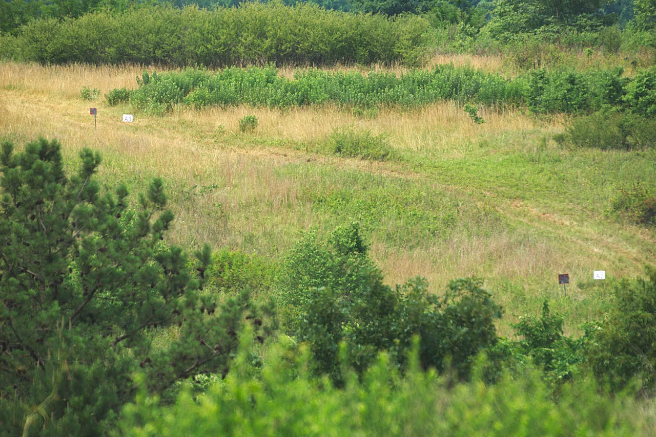 _IMG0742.jpg