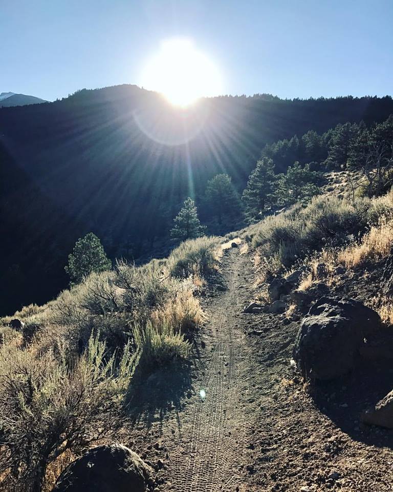 Singletrack - Follow the light