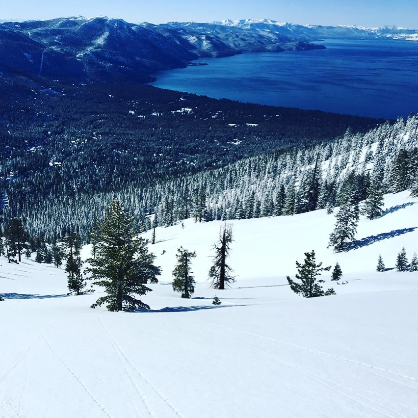 skiis2.jpg