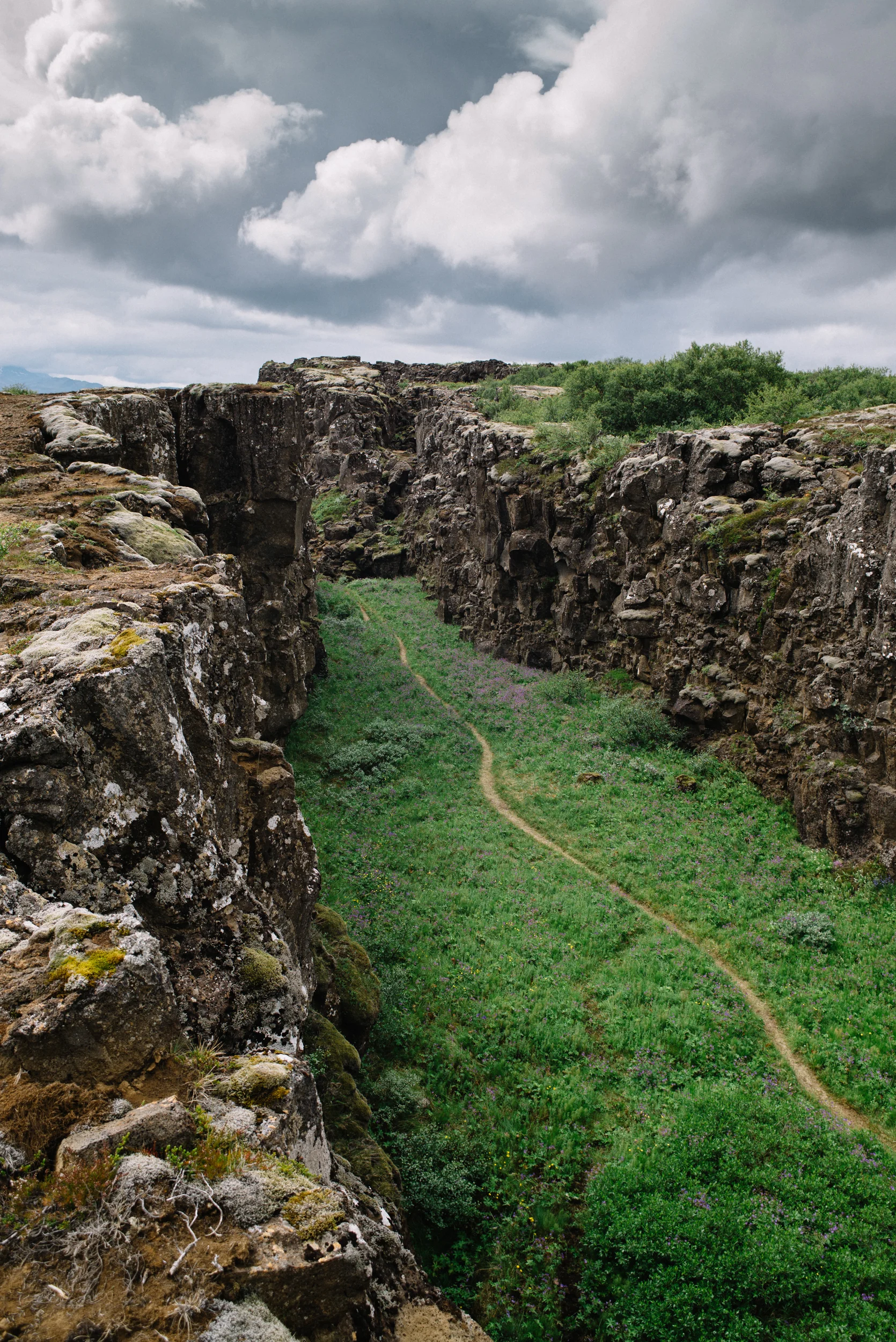 AbramGoglanian_Iceland-3.jpg