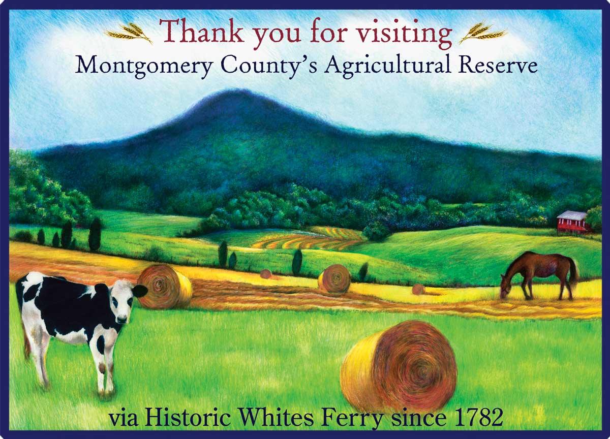Whites Ferry Welcome Sign Graphic