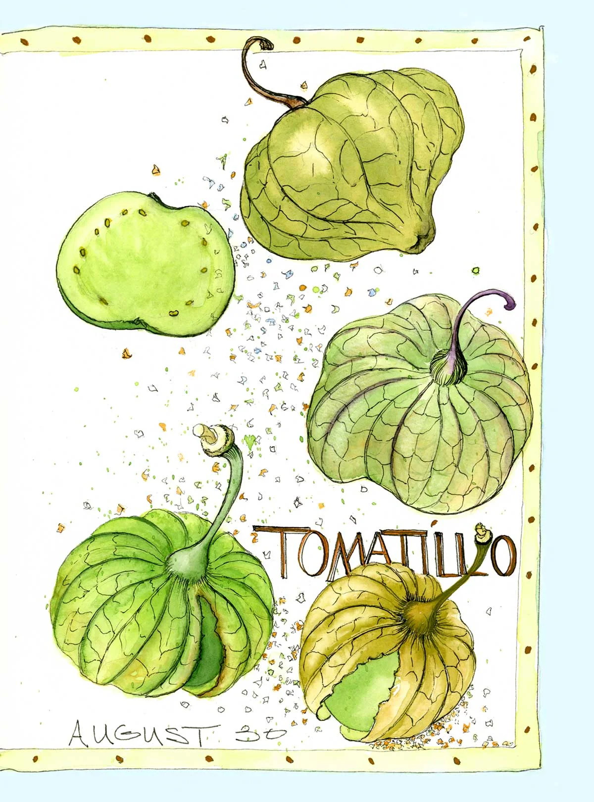 Tomatillo