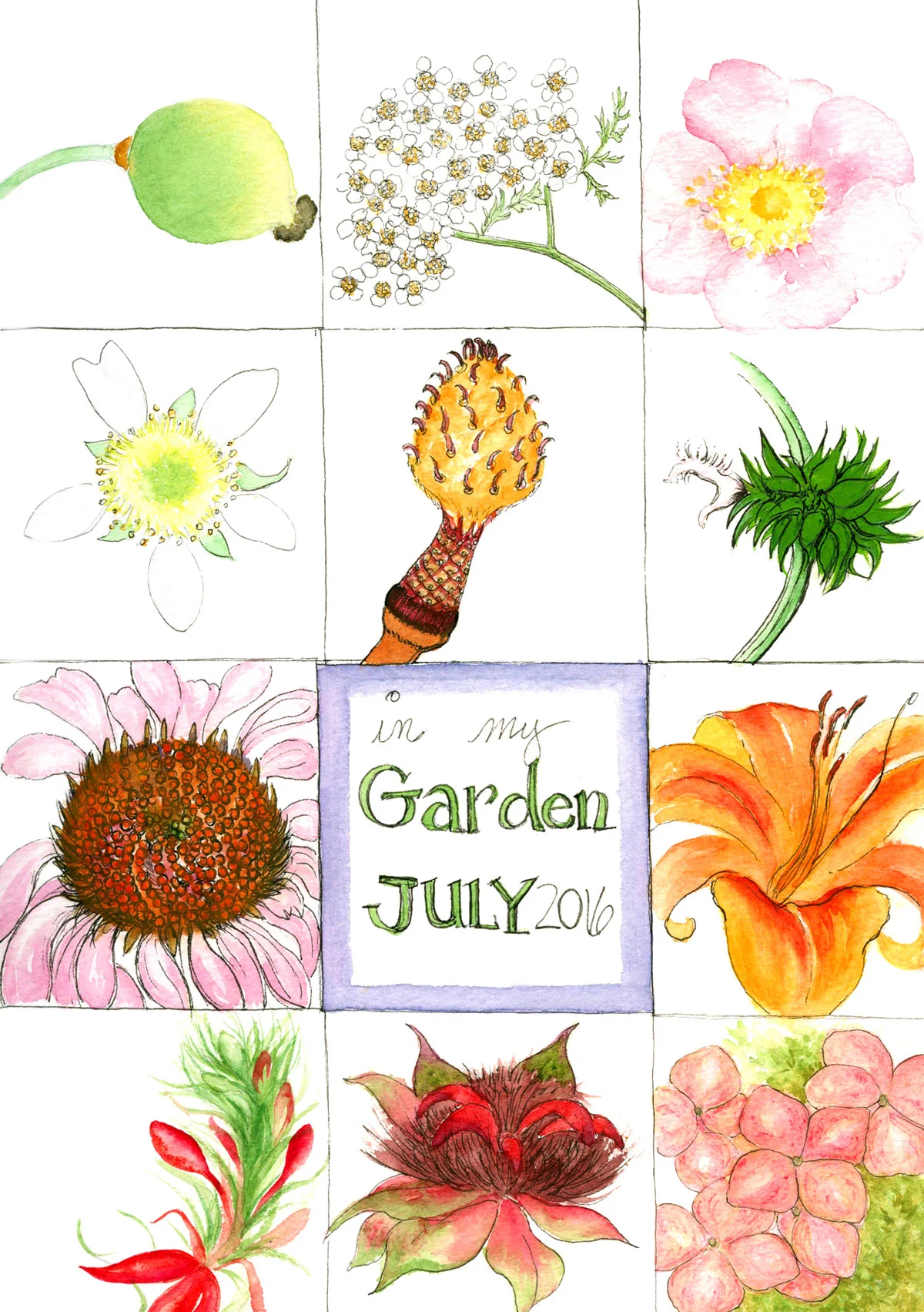 In My Garden Sketchbook